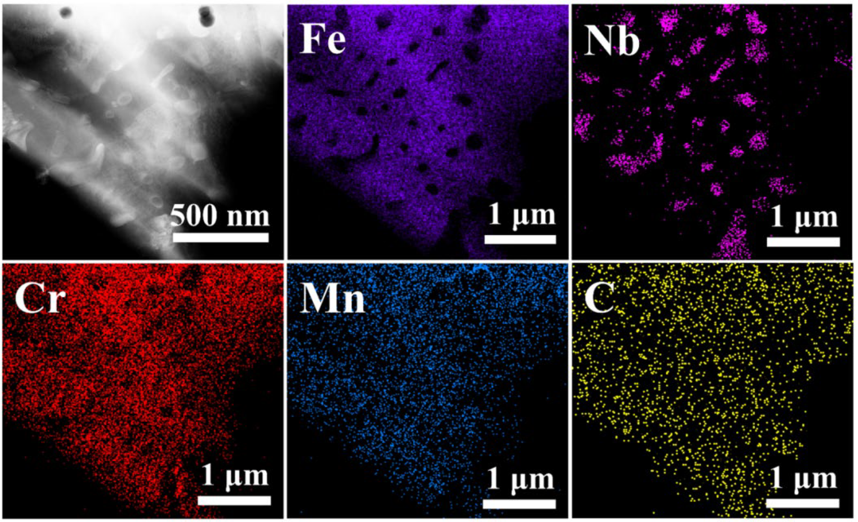 Coatings 15 01055 g007