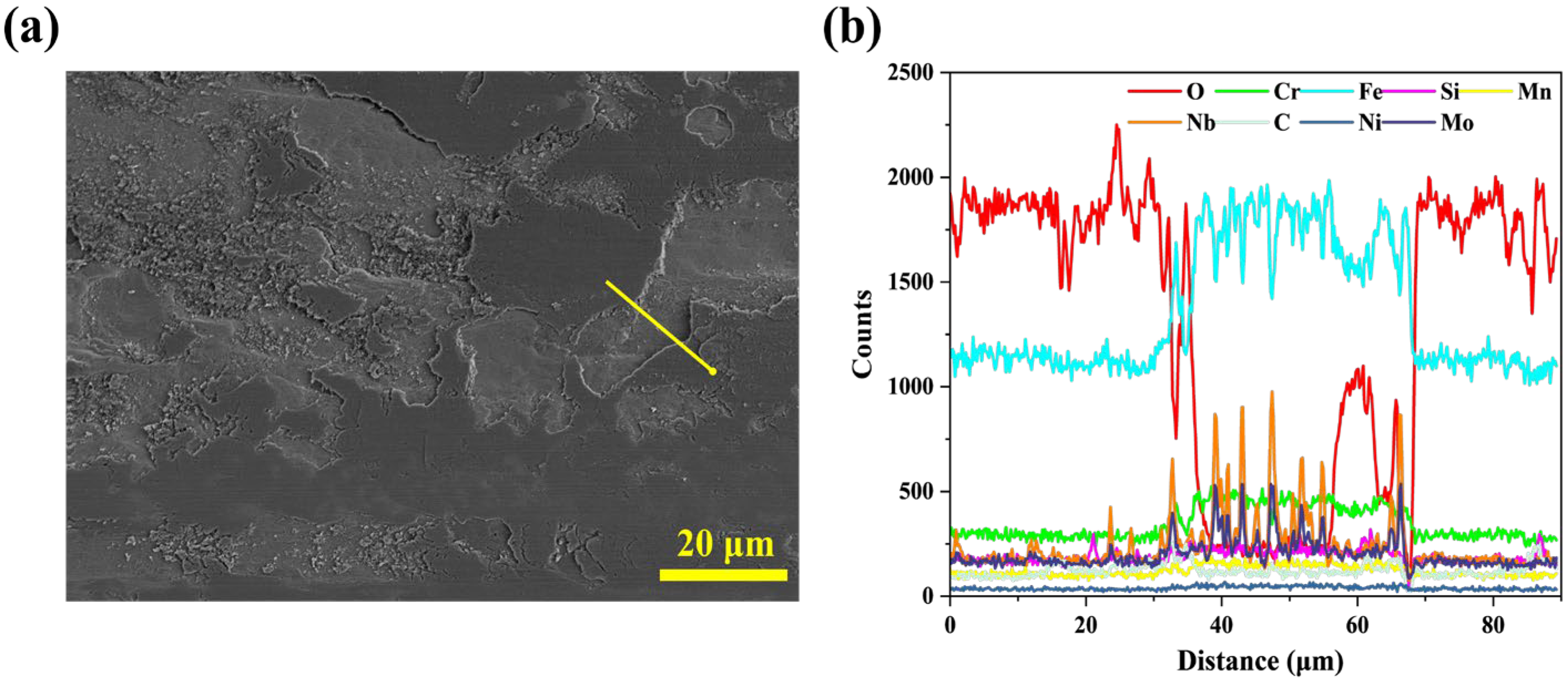 Coatings 15 01055 g012