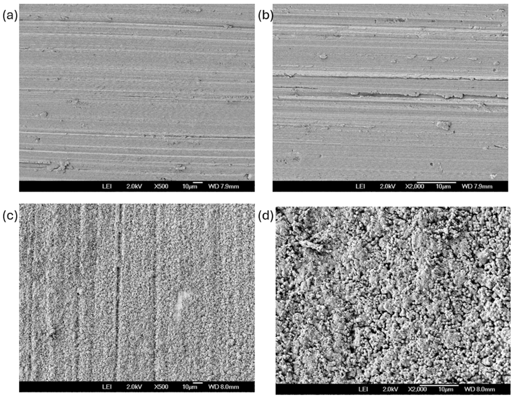 Coatings 15 01064 g002 Coatings 15 01064 g002