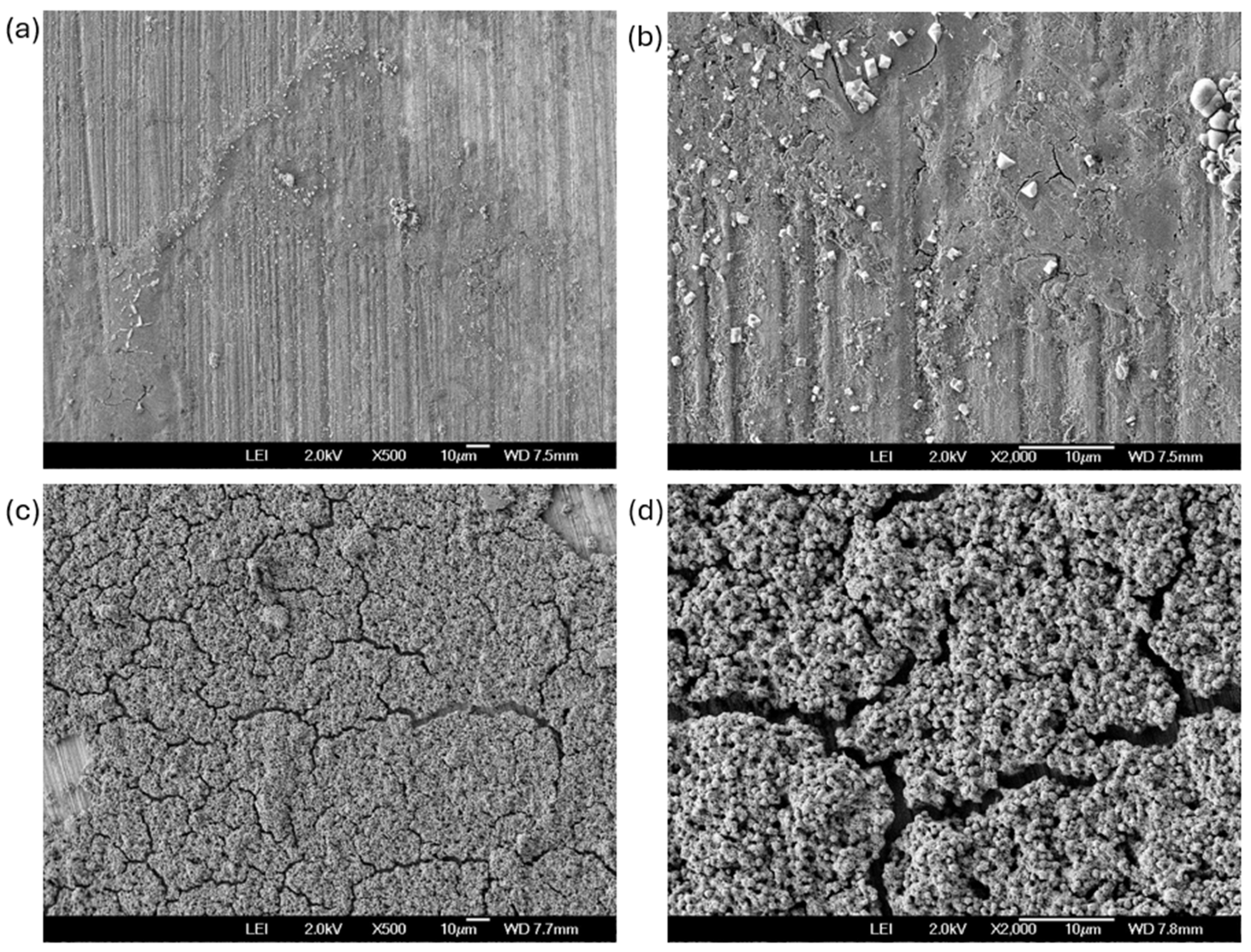 Coatings 15 01064 g008 Coatings 15 01064 g008