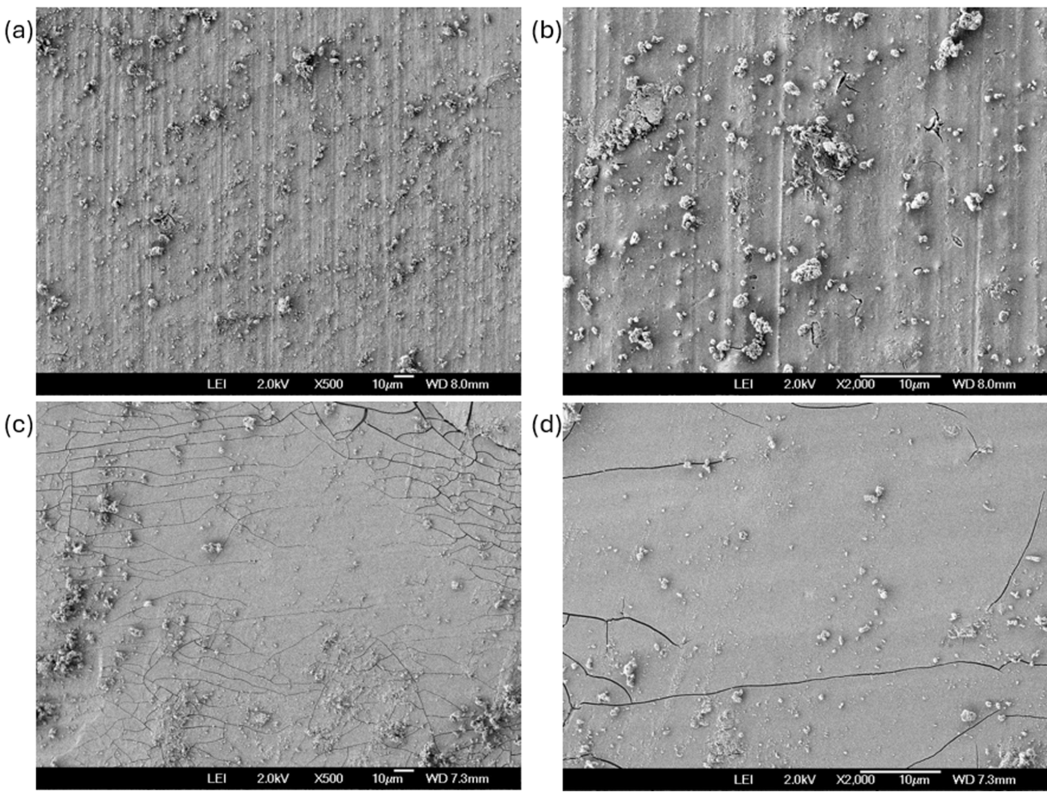 Coatings 15 01064 g009 Coatings 15 01064 g009