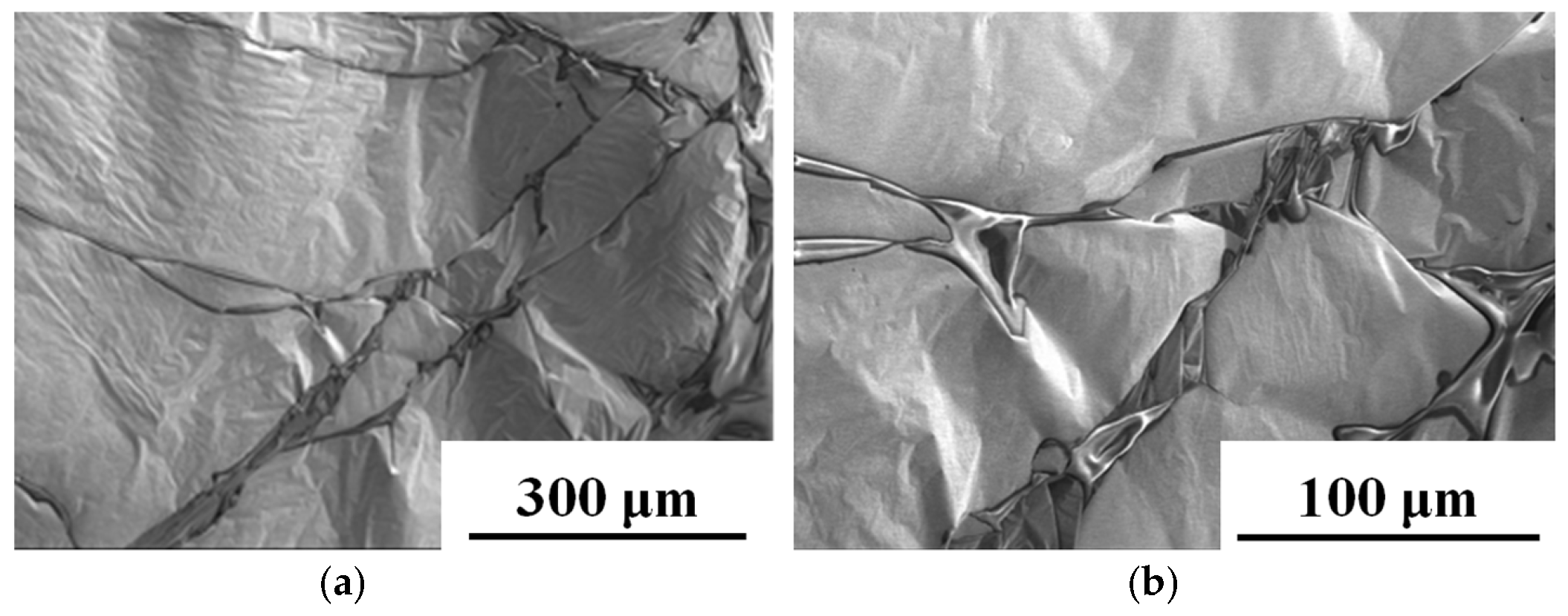 Coatings 15 01069 g014