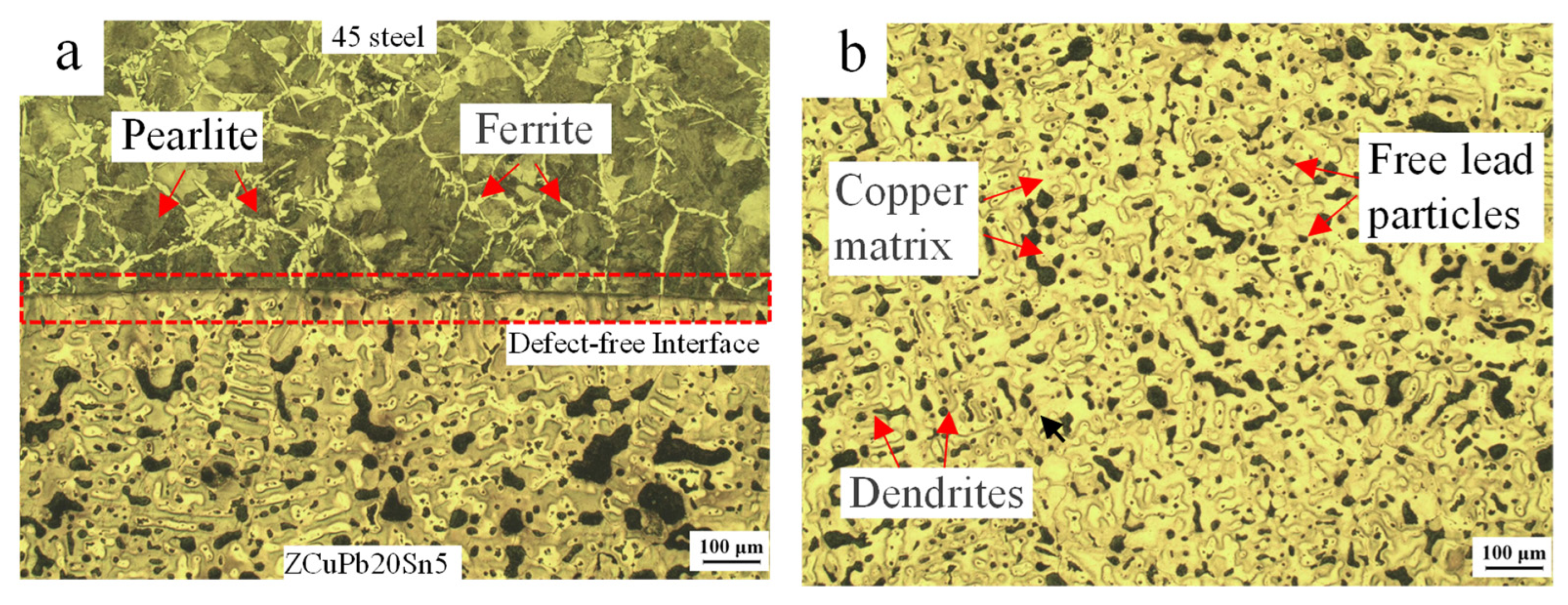 Coatings 15 01072 g003 Coatings 15 01072 g003