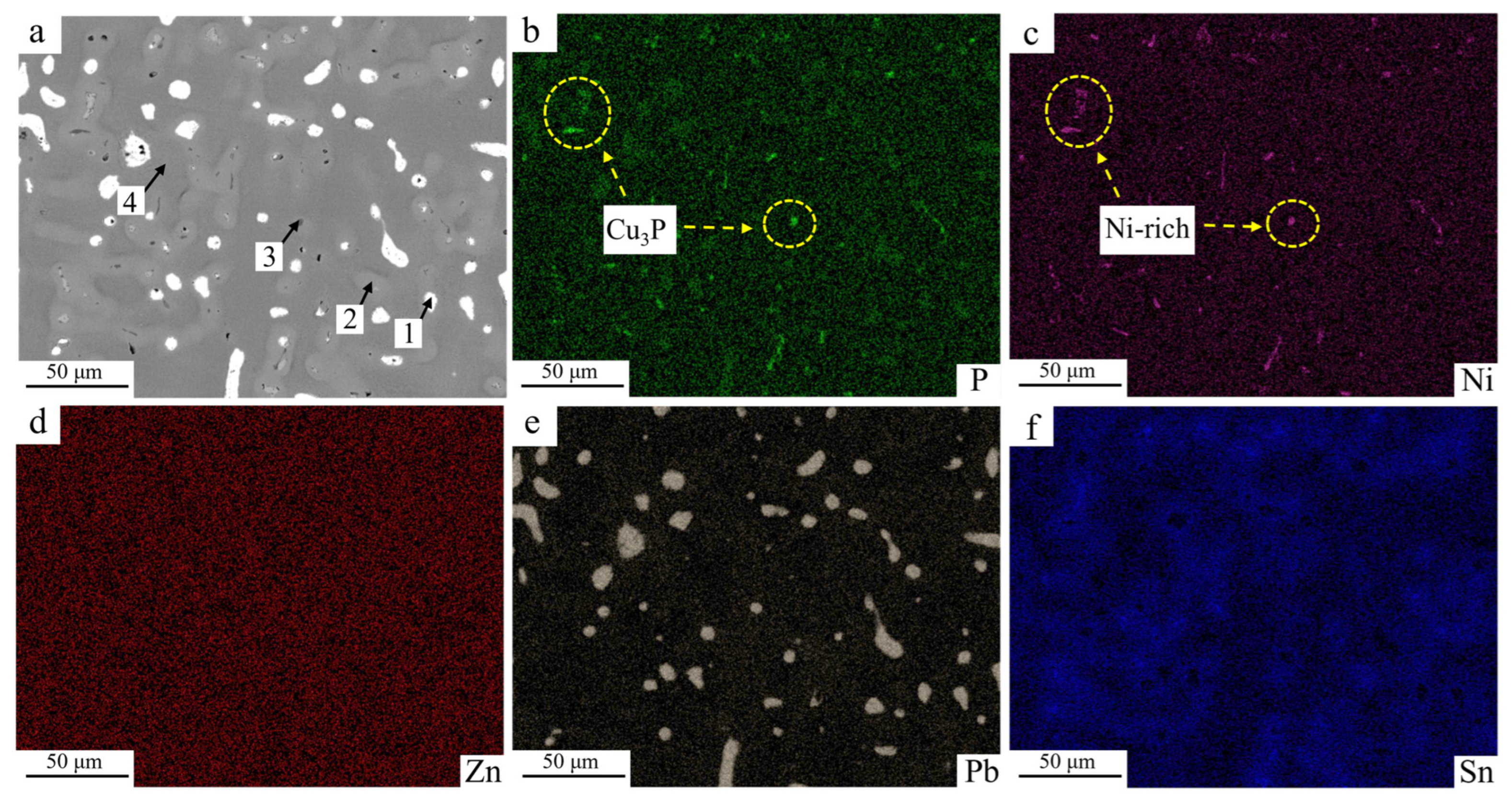 Coatings 15 01072 g006 Coatings 15 01072 g006