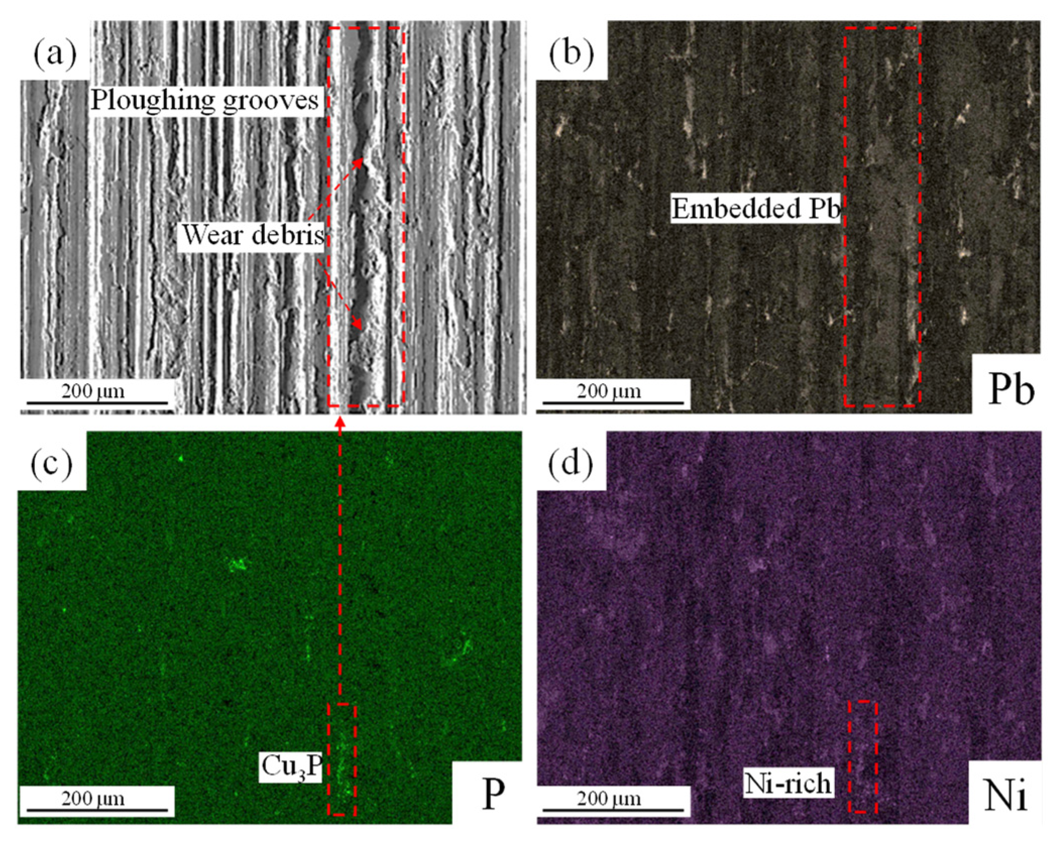 Coatings 15 01072 g008 Coatings 15 01072 g008