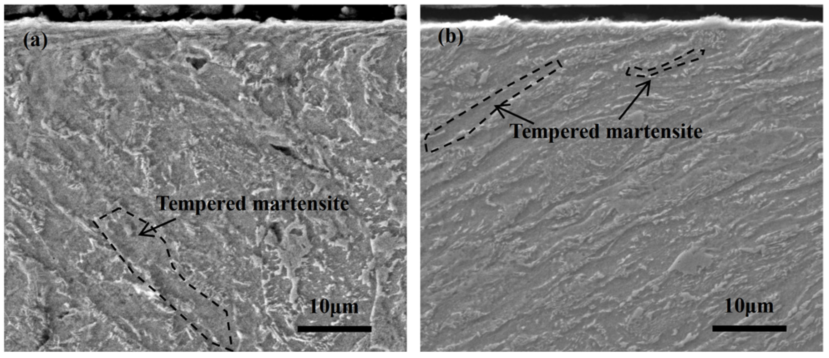 Coatings 15 01075 g003 Coatings 15 01075 g003