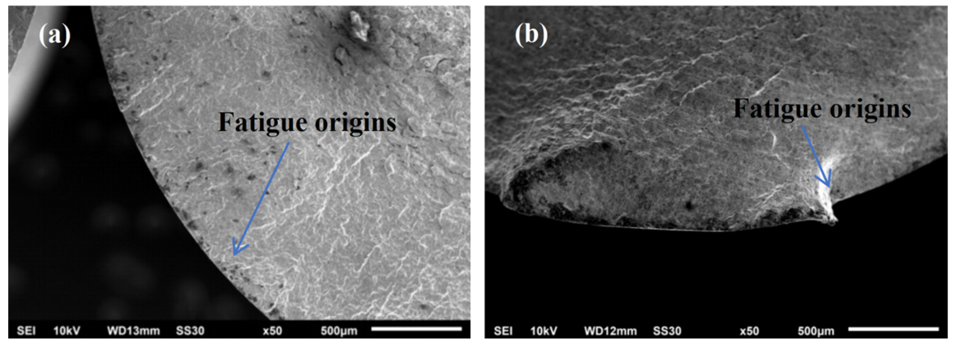Coatings 15 01075 g005 Coatings 15 01075 g005