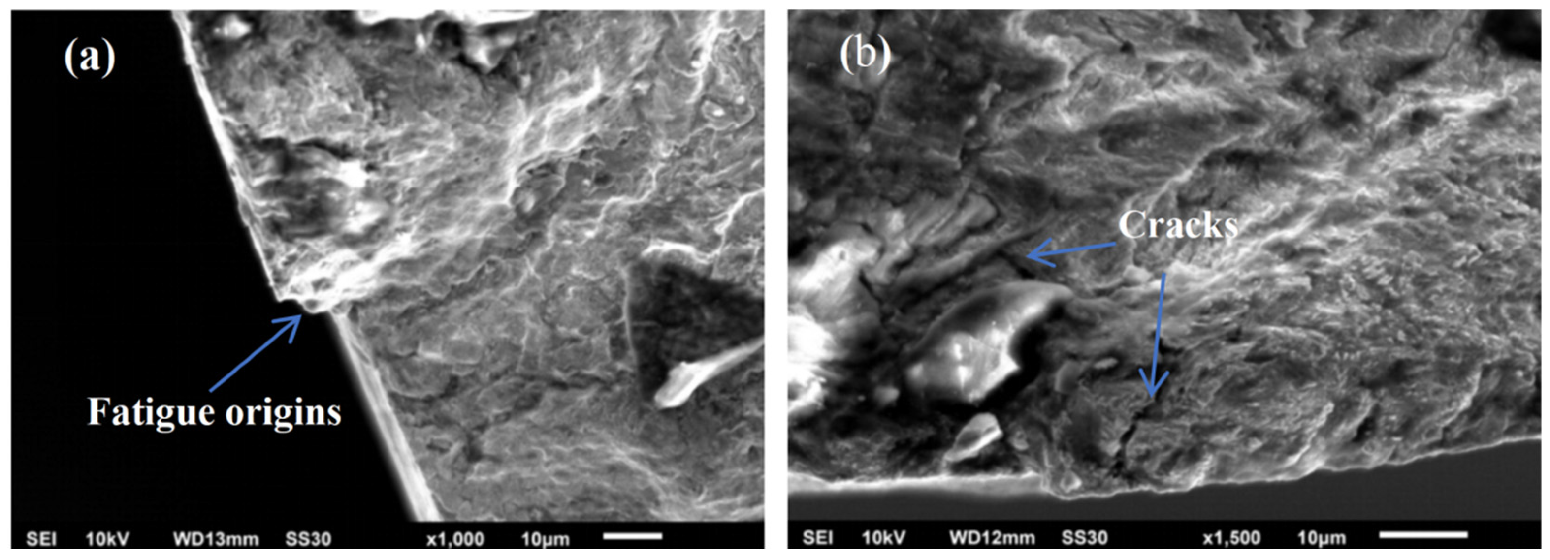 Coatings 15 01075 g006 Coatings 15 01075 g006