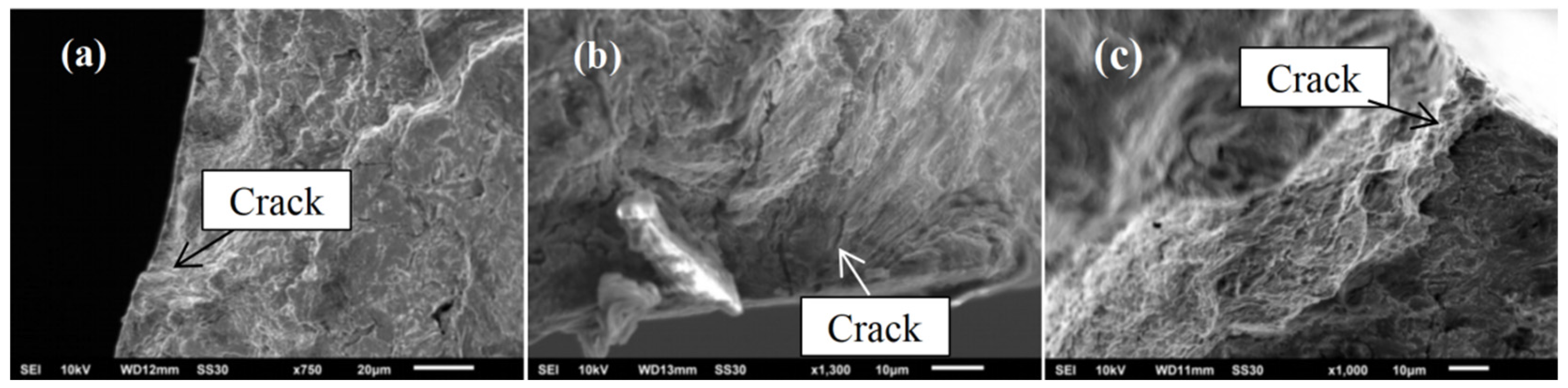 Coatings 15 01075 g007 Coatings 15 01075 g007