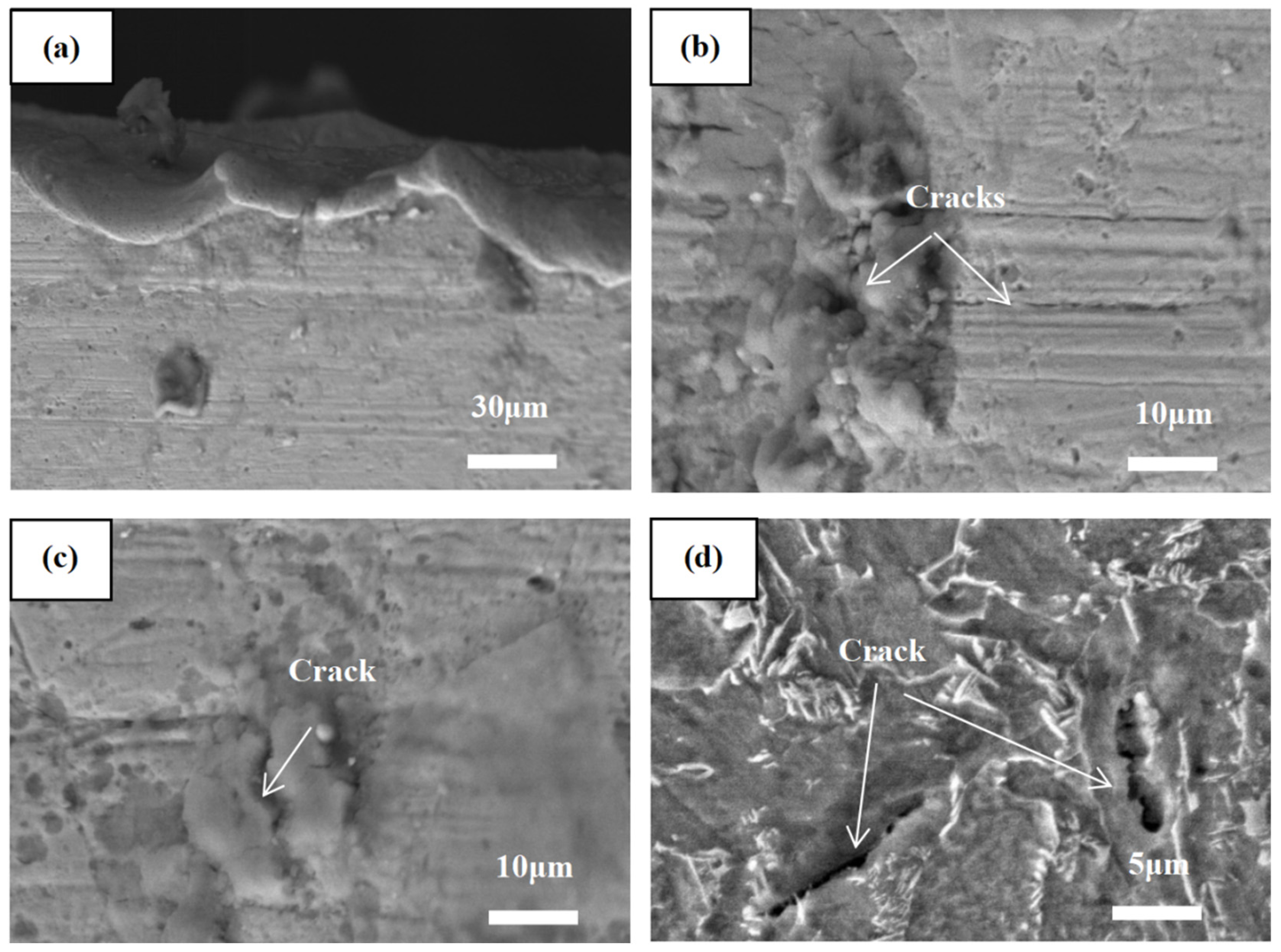 Coatings 15 01075 g008 Coatings 15 01075 g008