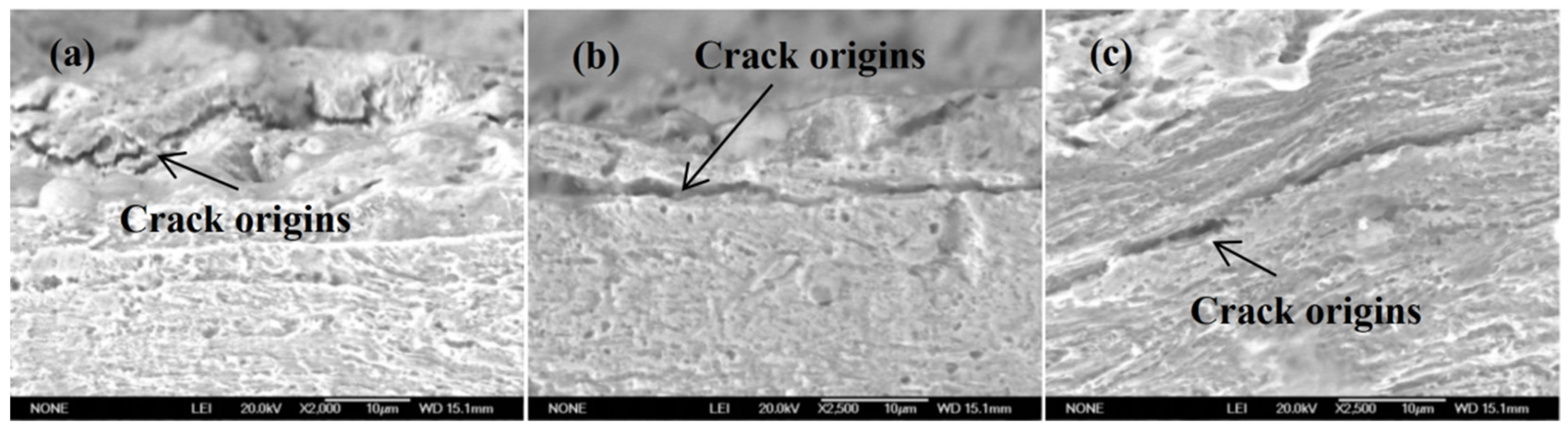 Coatings 15 01075 g009 Coatings 15 01075 g009