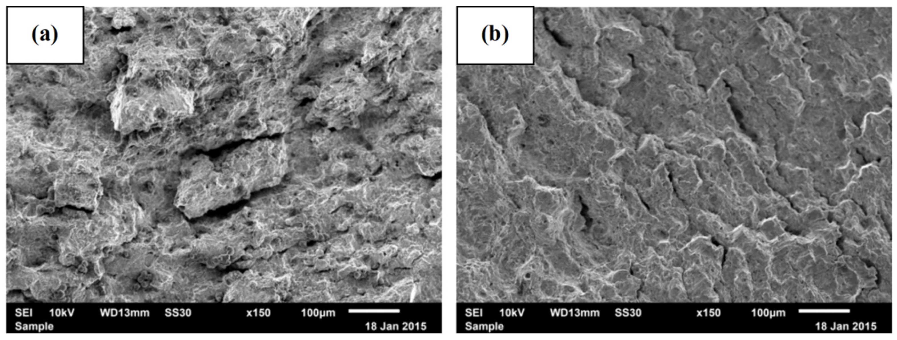 Coatings 15 01075 g010 Coatings 15 01075 g010