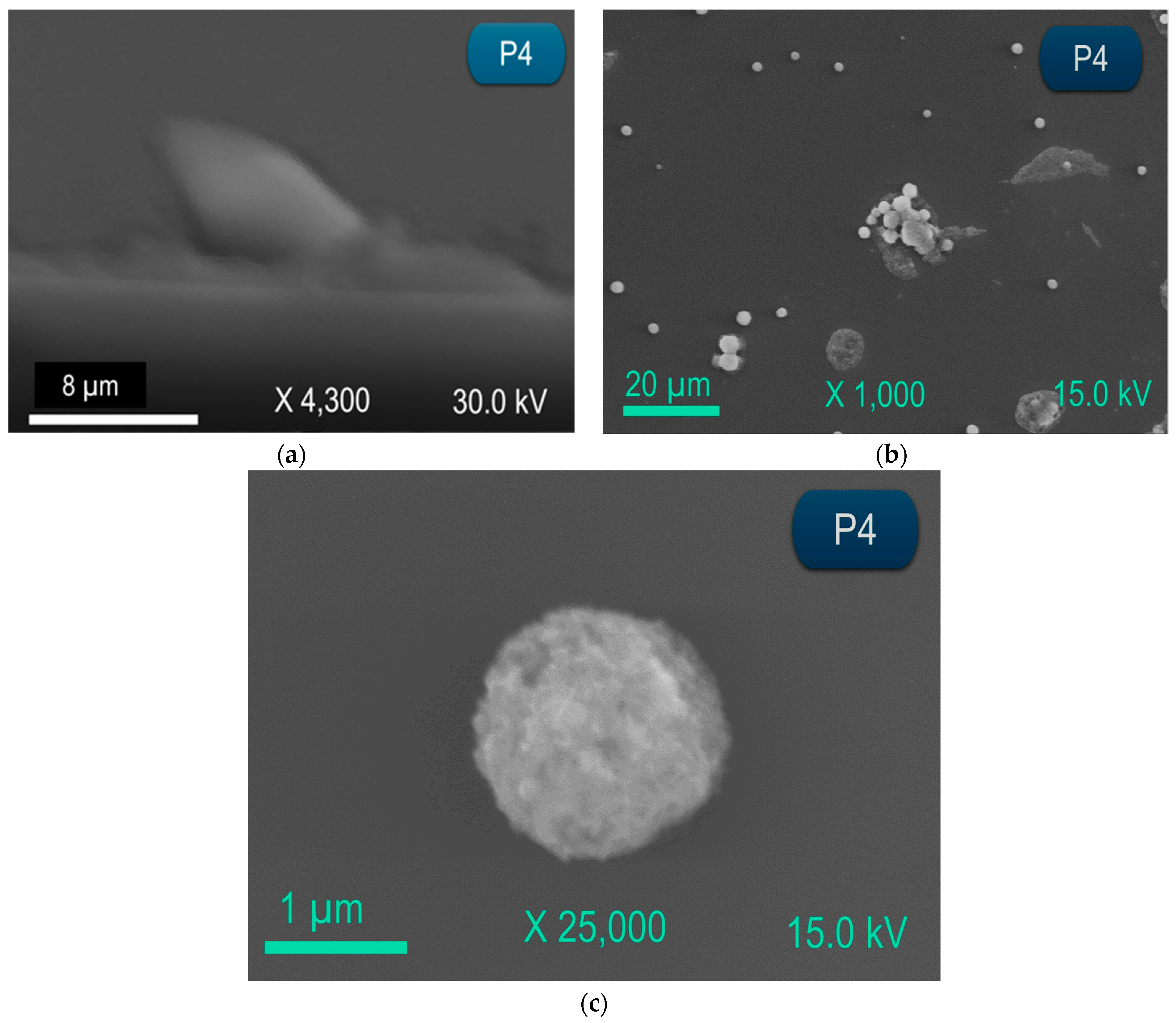 Coatings 15 01076 g002