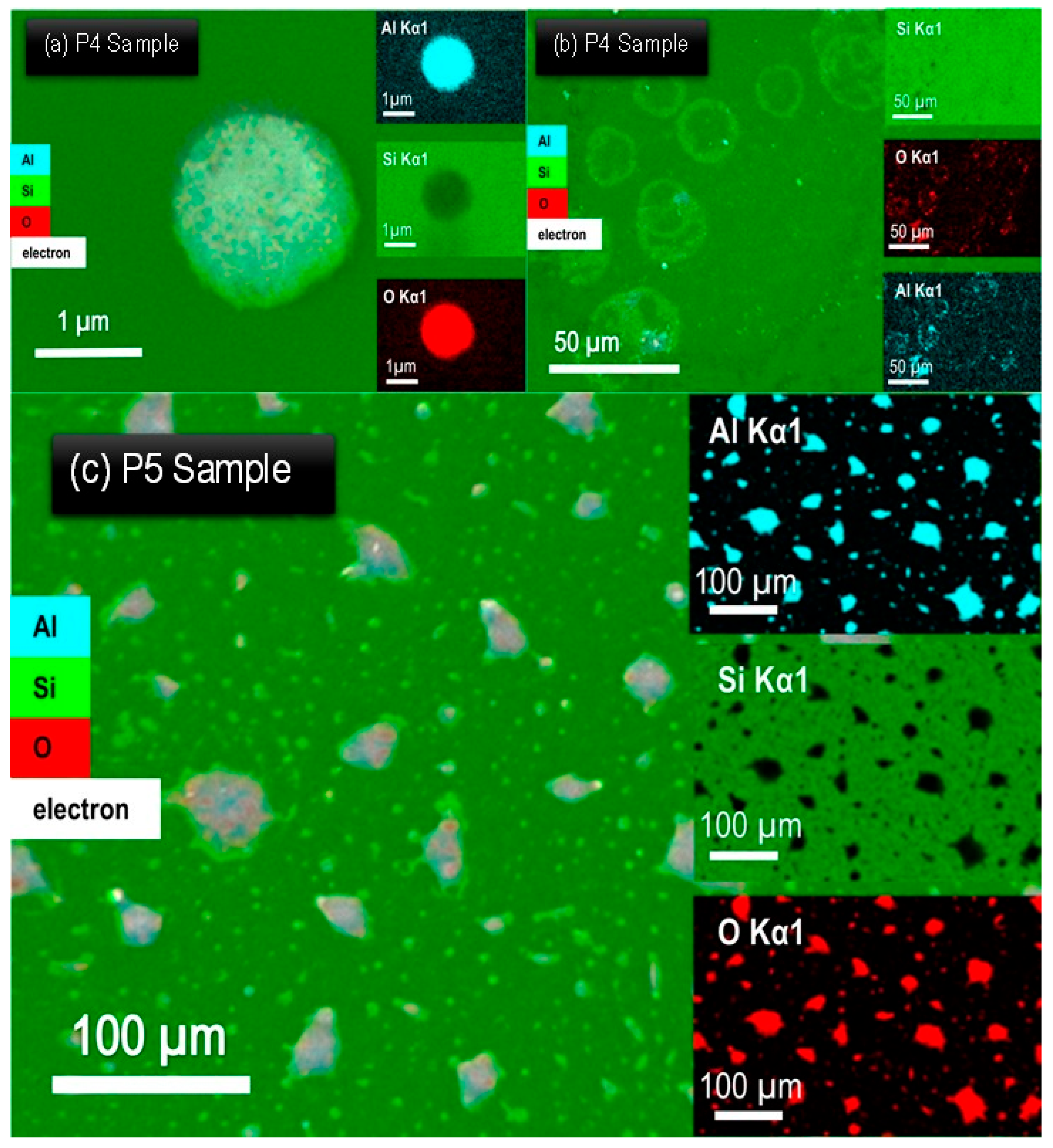 Coatings 15 01076 g004