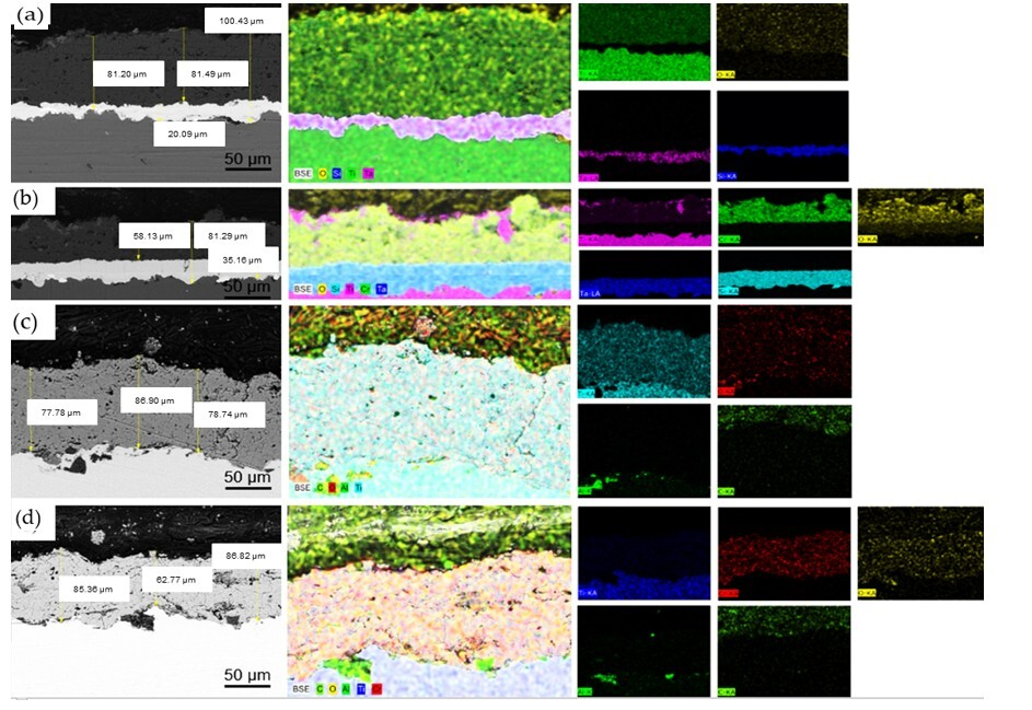 Coatings 15 01078 g007