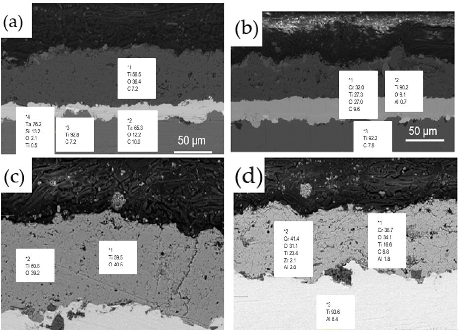 Coatings 15 01078 g008