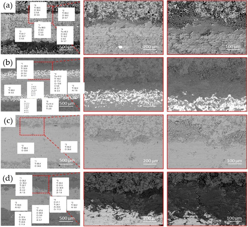 Coatings 15 01078 g010