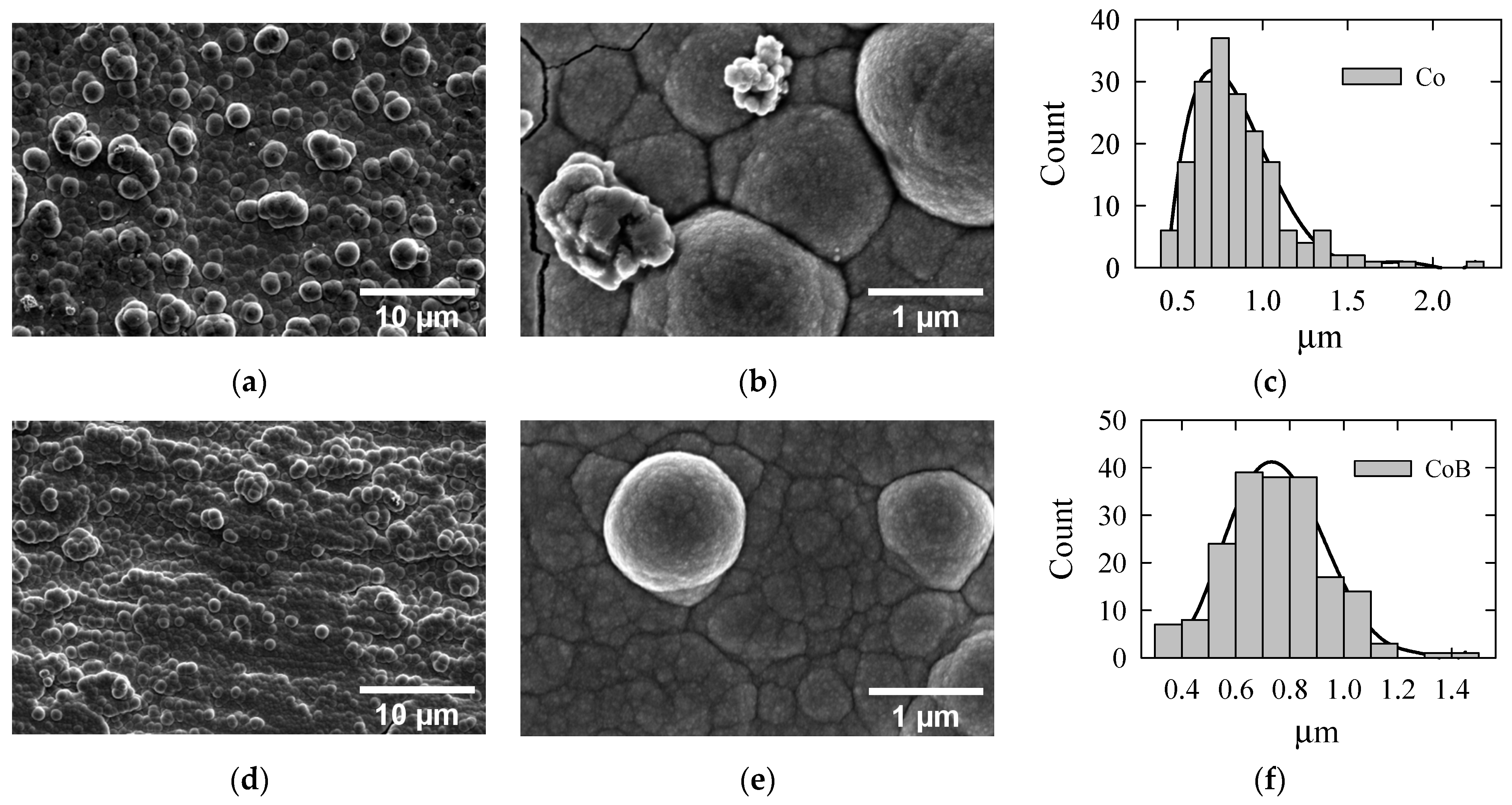 Coatings 15 01081 g003