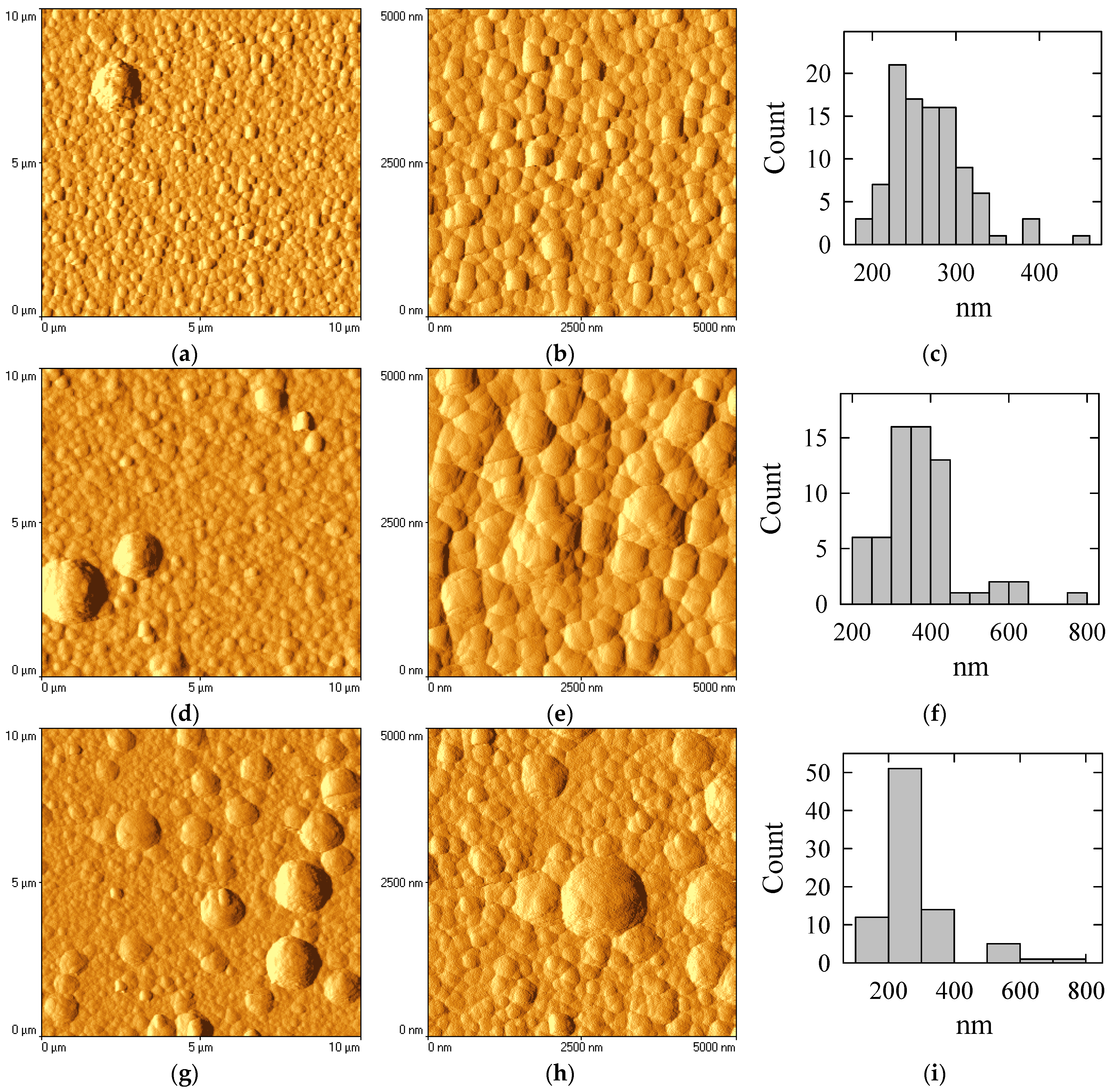 Coatings 15 01081 g004
