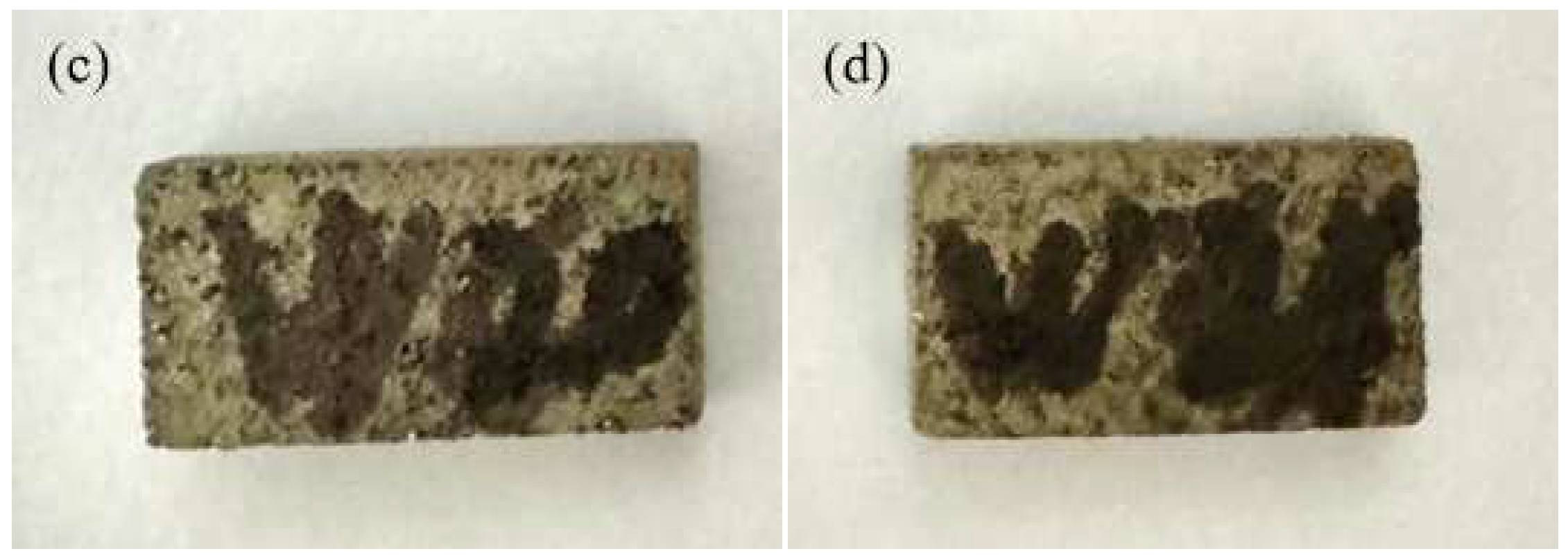 Coatings 15 01083 g007b Coatings 15 01083 g007b