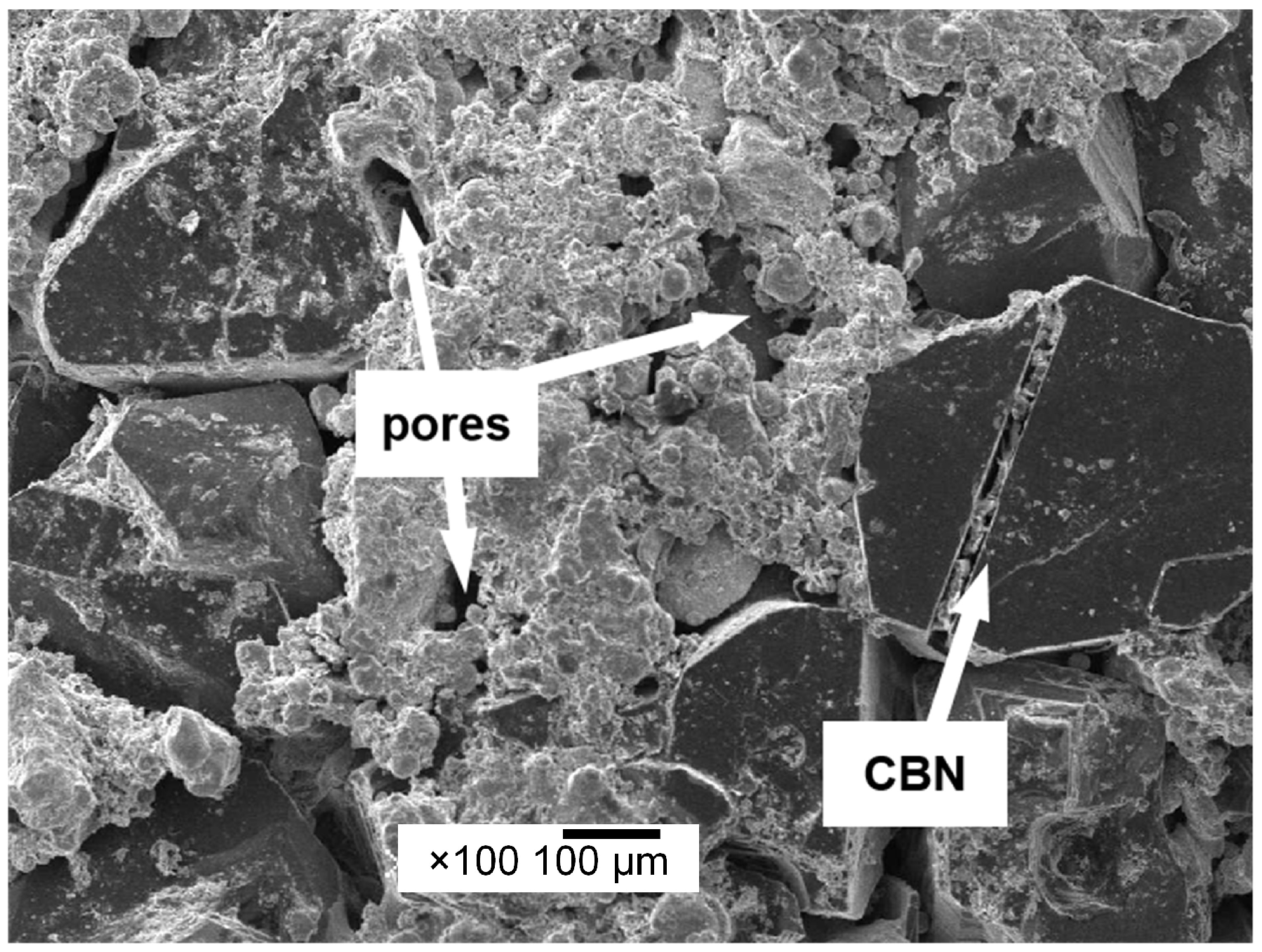 Coatings 15 01083 g008 Coatings 15 01083 g008