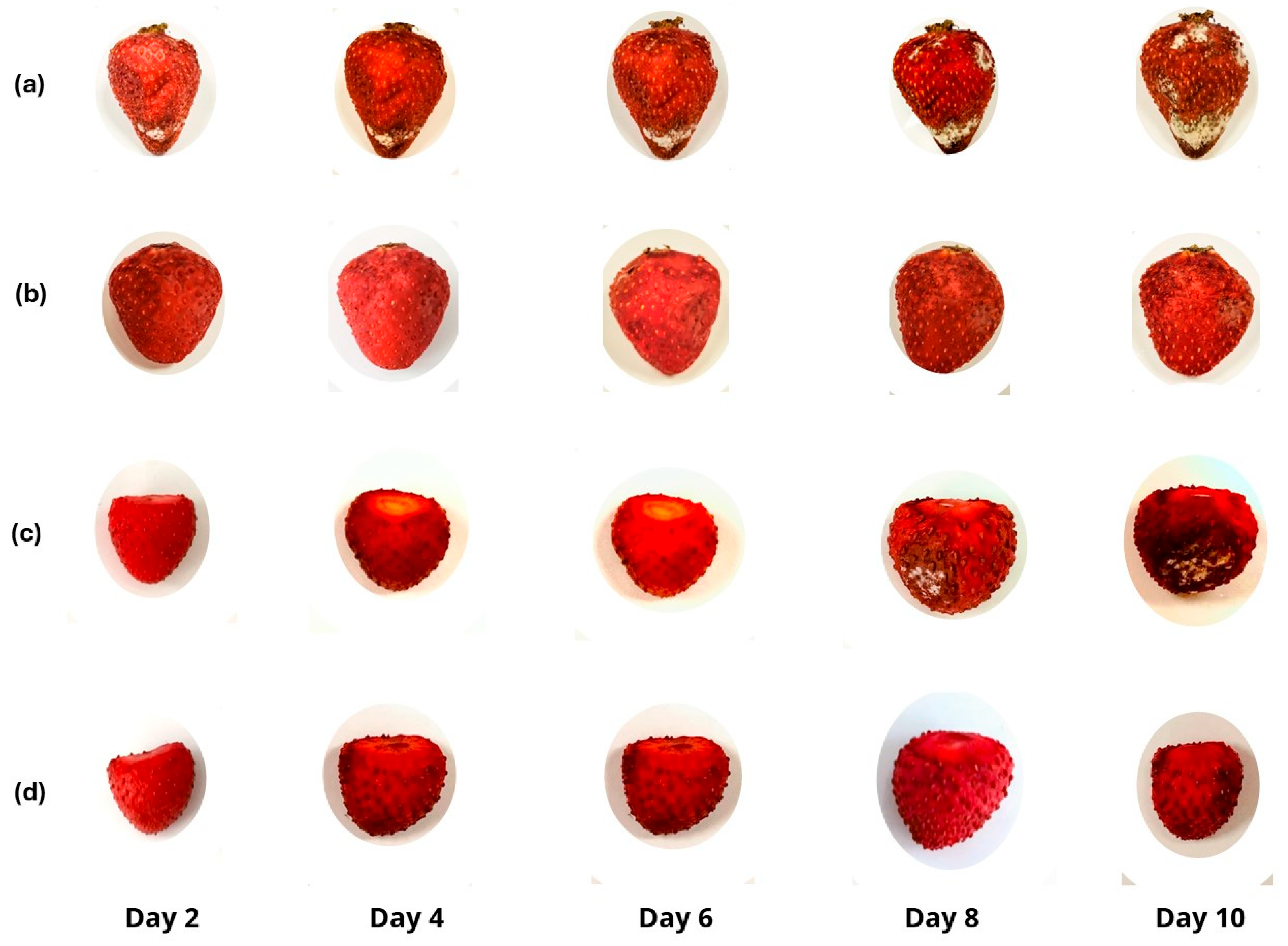 Coatings 15 01085 g010