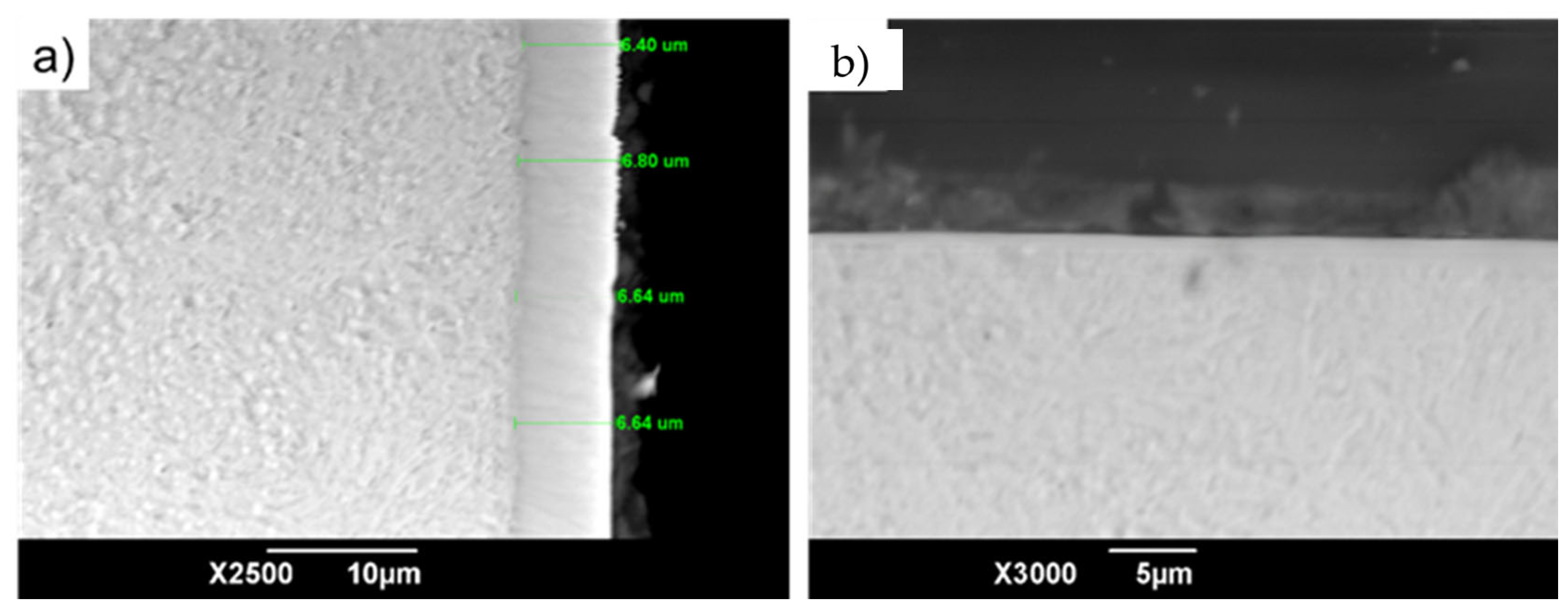 Coatings 15 01088 g009 Coatings 15 01088 g009