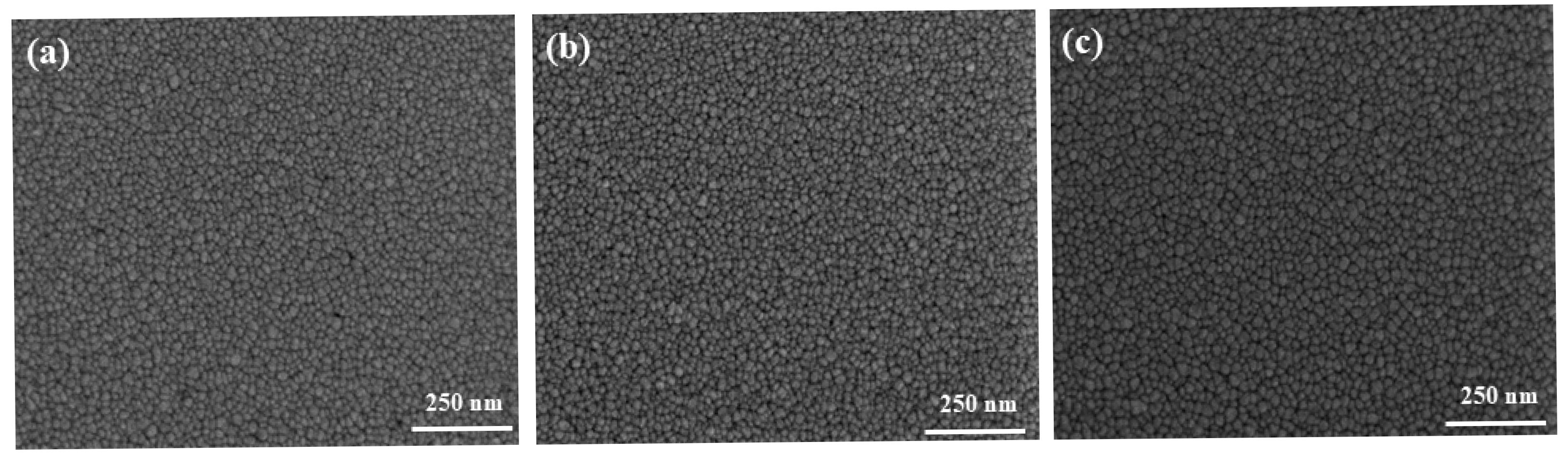 Coatings 15 01089 g010 Coatings 15 01089 g010