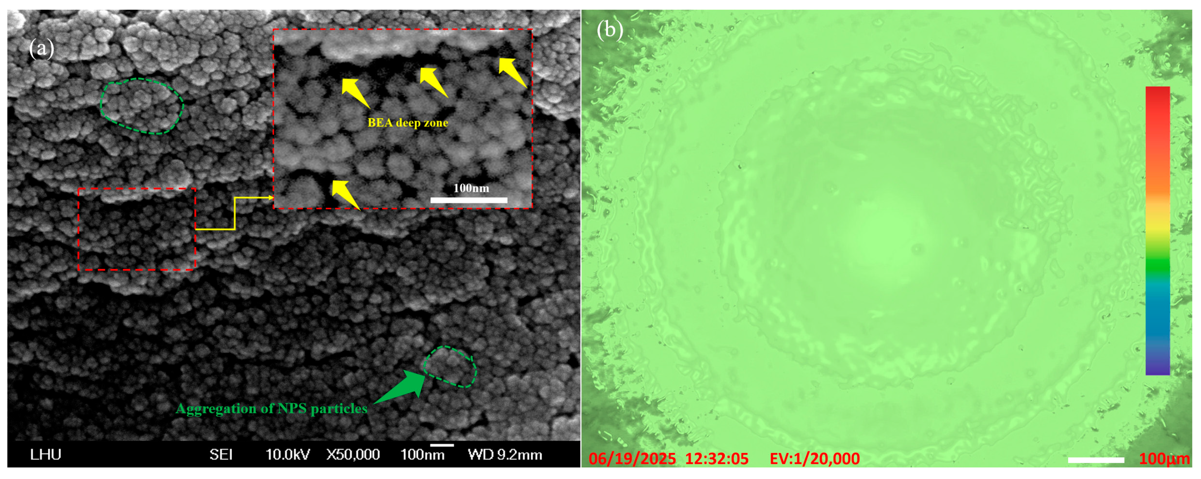 Coatings 15 01090 g008