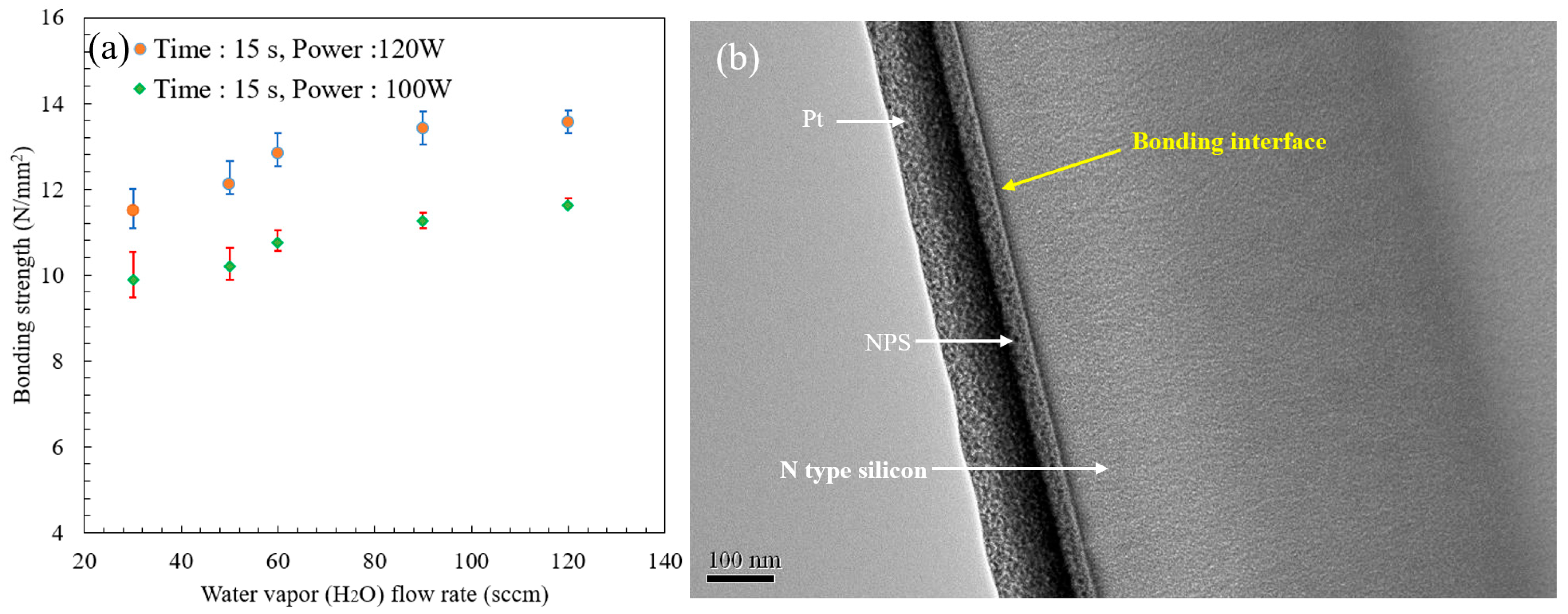 Coatings 15 01090 g012