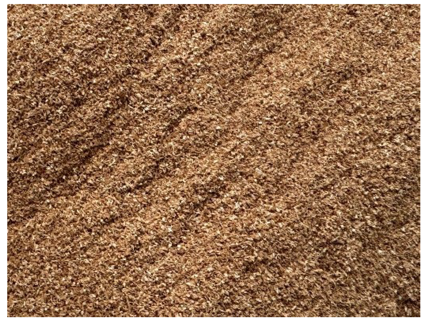 Coatings 15 01094 g002 Coatings 15 01094 g002