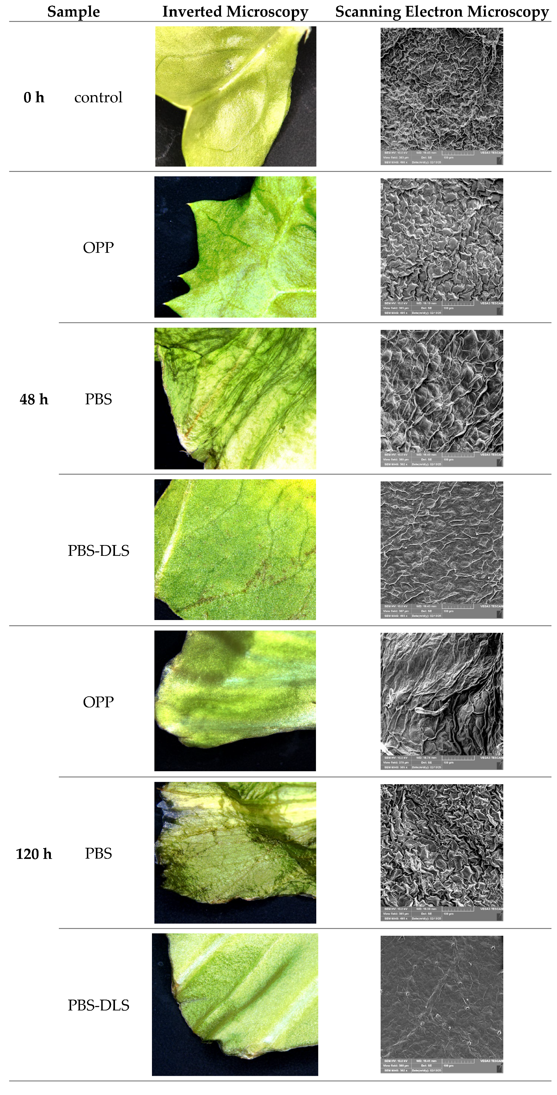 Coatings 15 01095 g009