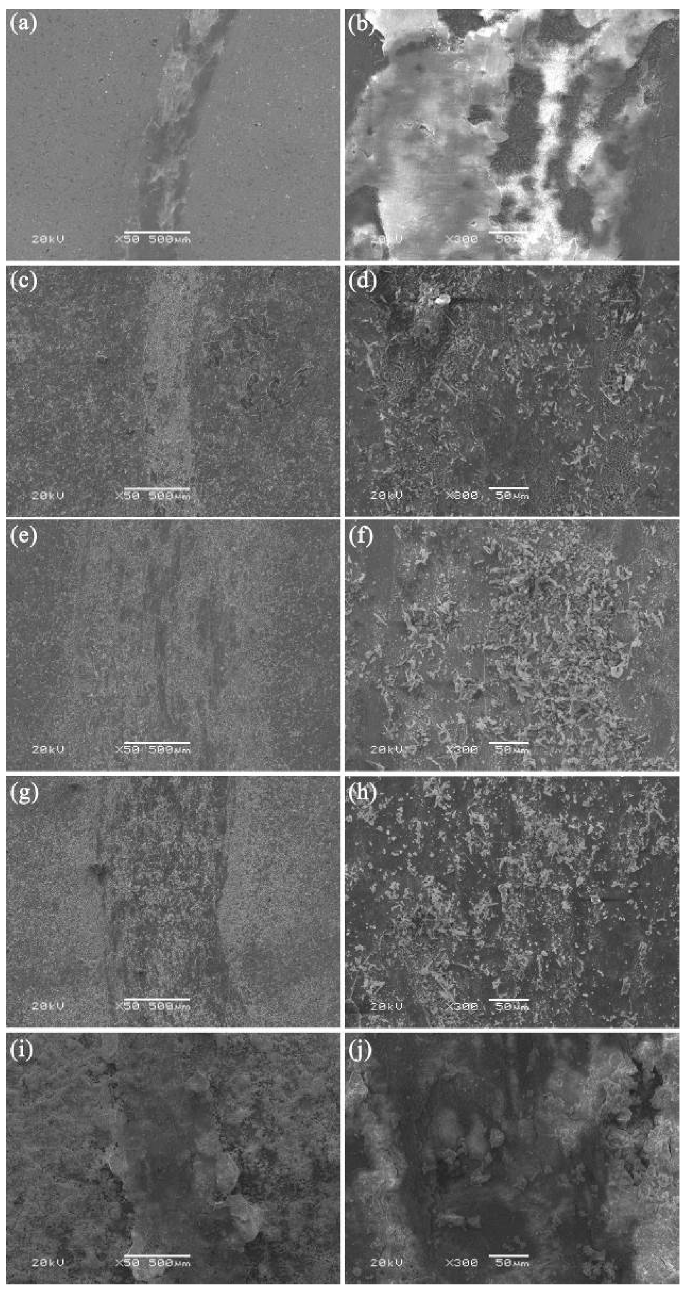 Coatings 15 01098 g004 Coatings 15 01098 g004