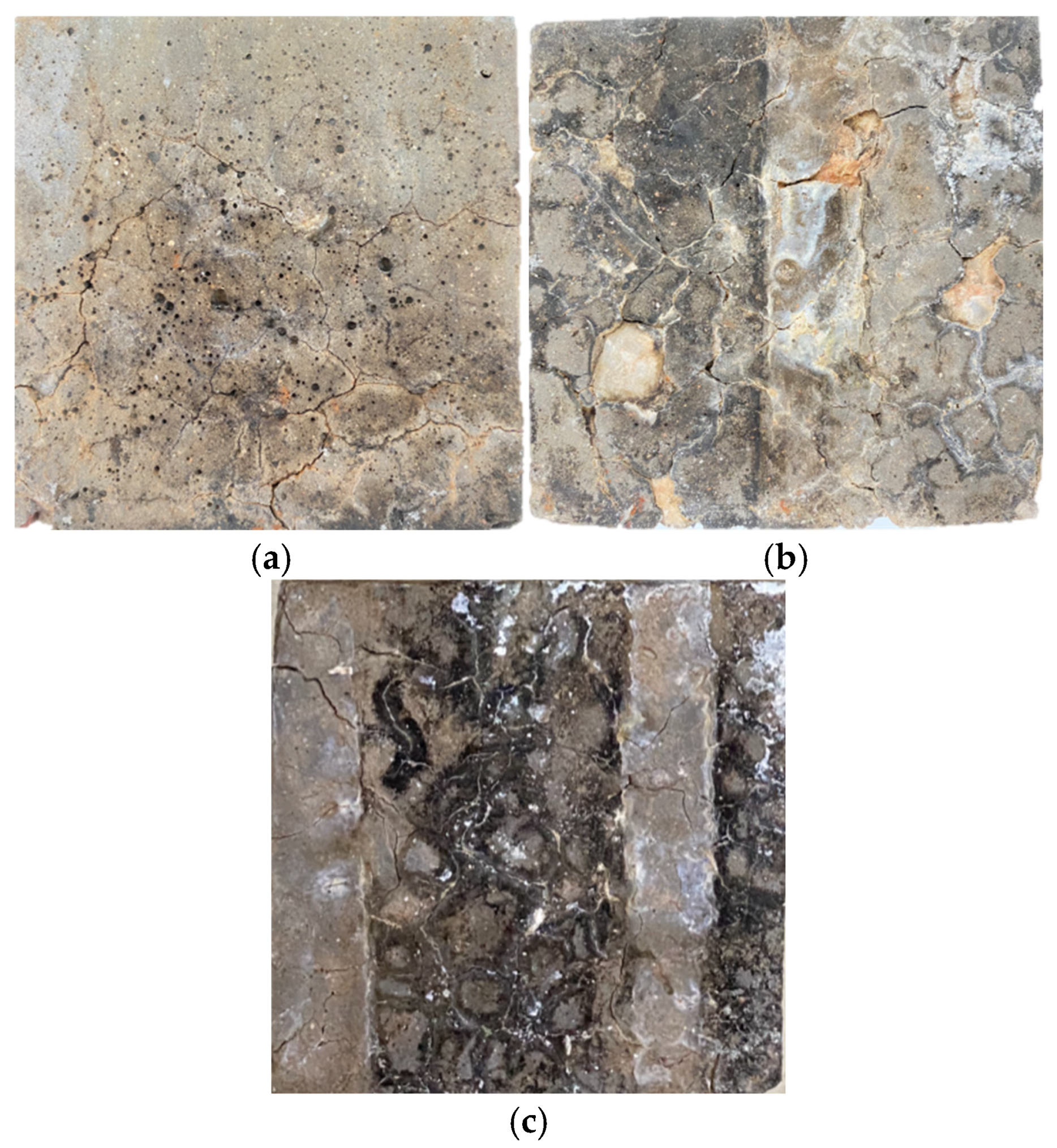 Coatings 15 01100 g018