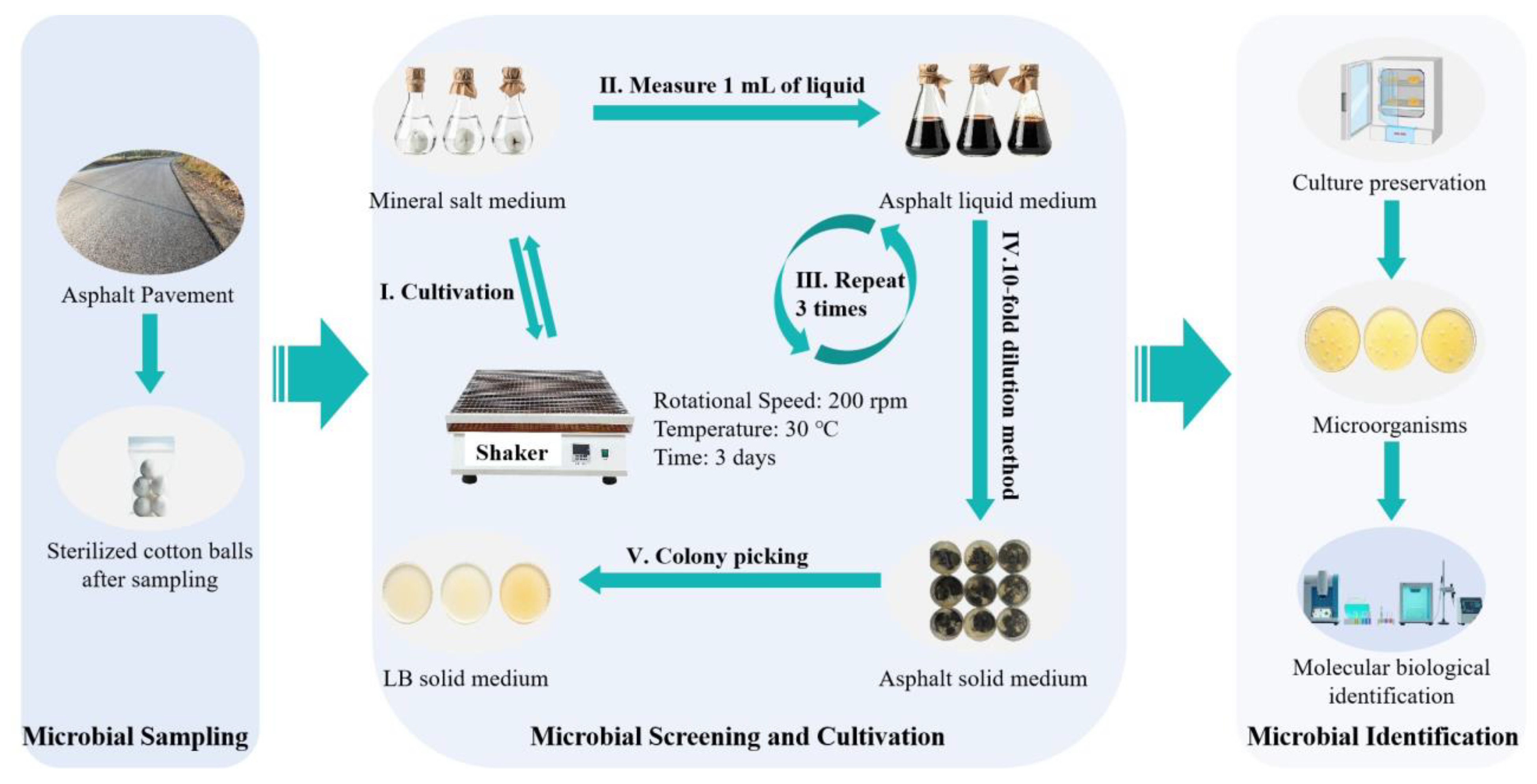 Coatings 15 01101 g001