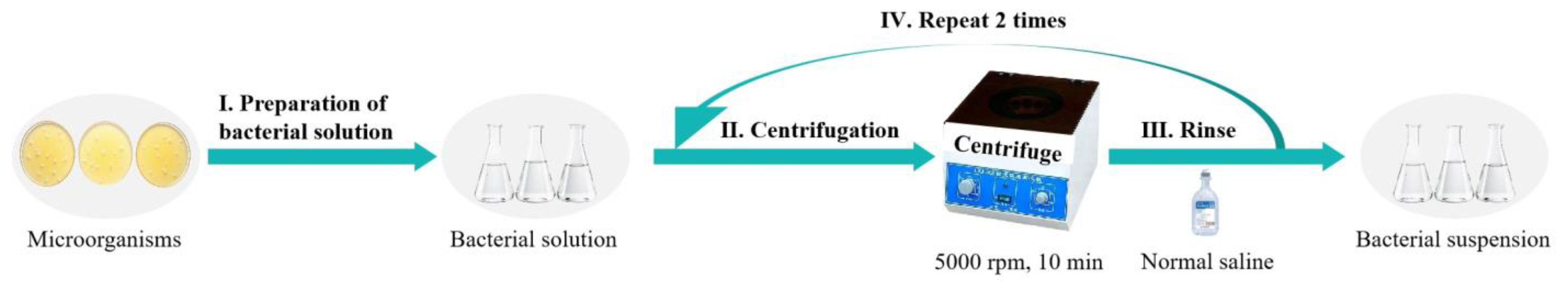 Coatings 15 01101 g002