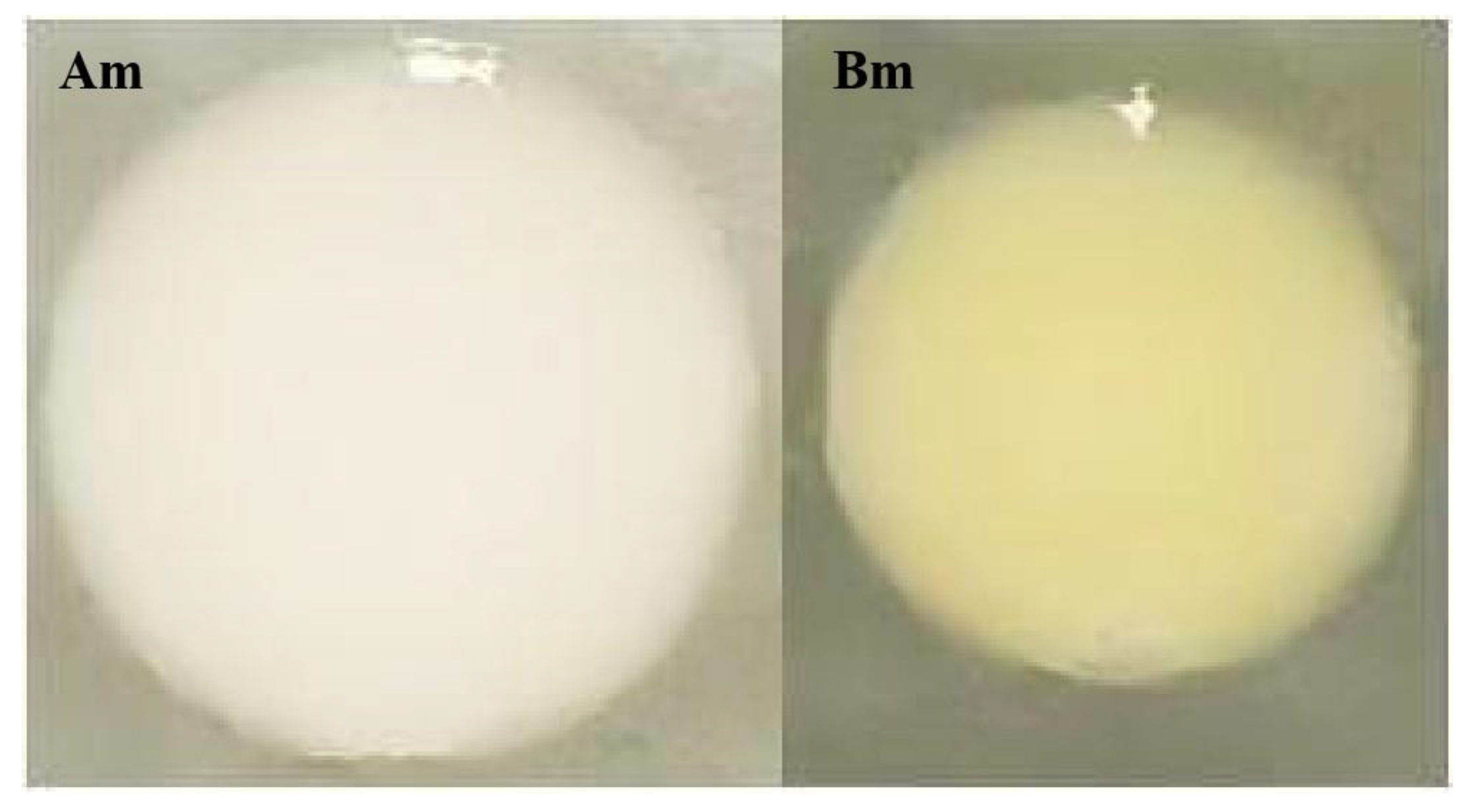 Coatings 15 01101 g005