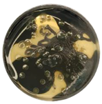 Coatings 15 01101 i001