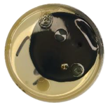 Coatings 15 01101 i006