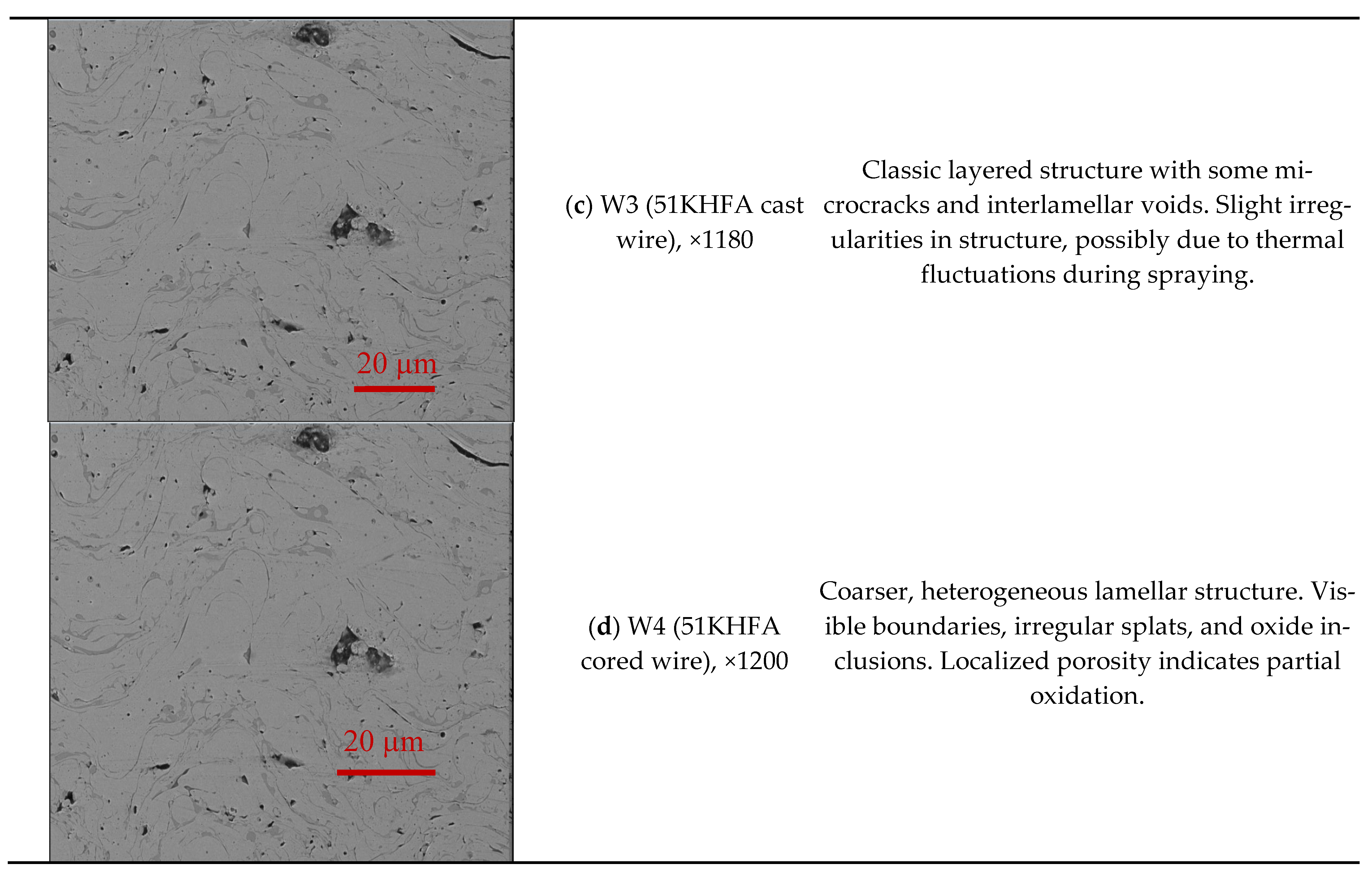 Coatings 15 01102 g001b