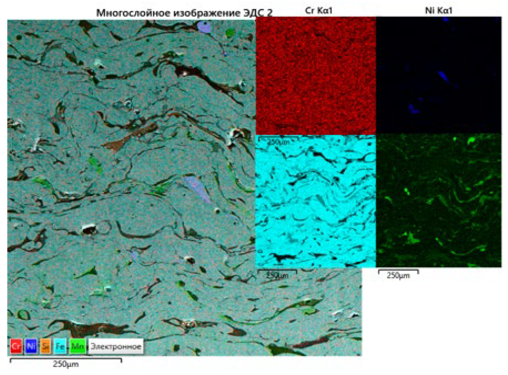Coatings 15 01102 g002