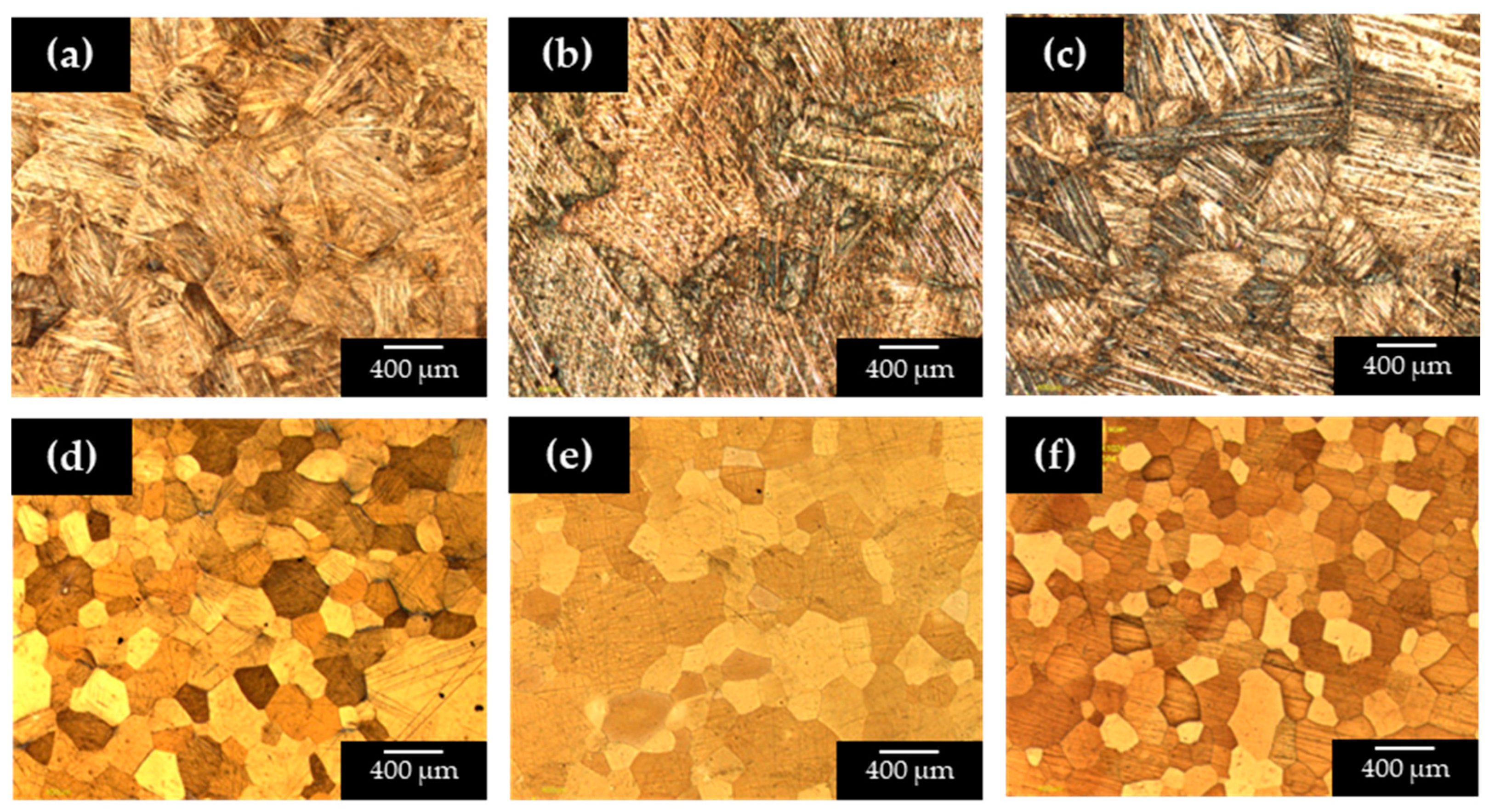 Coatings 15 01103 g001