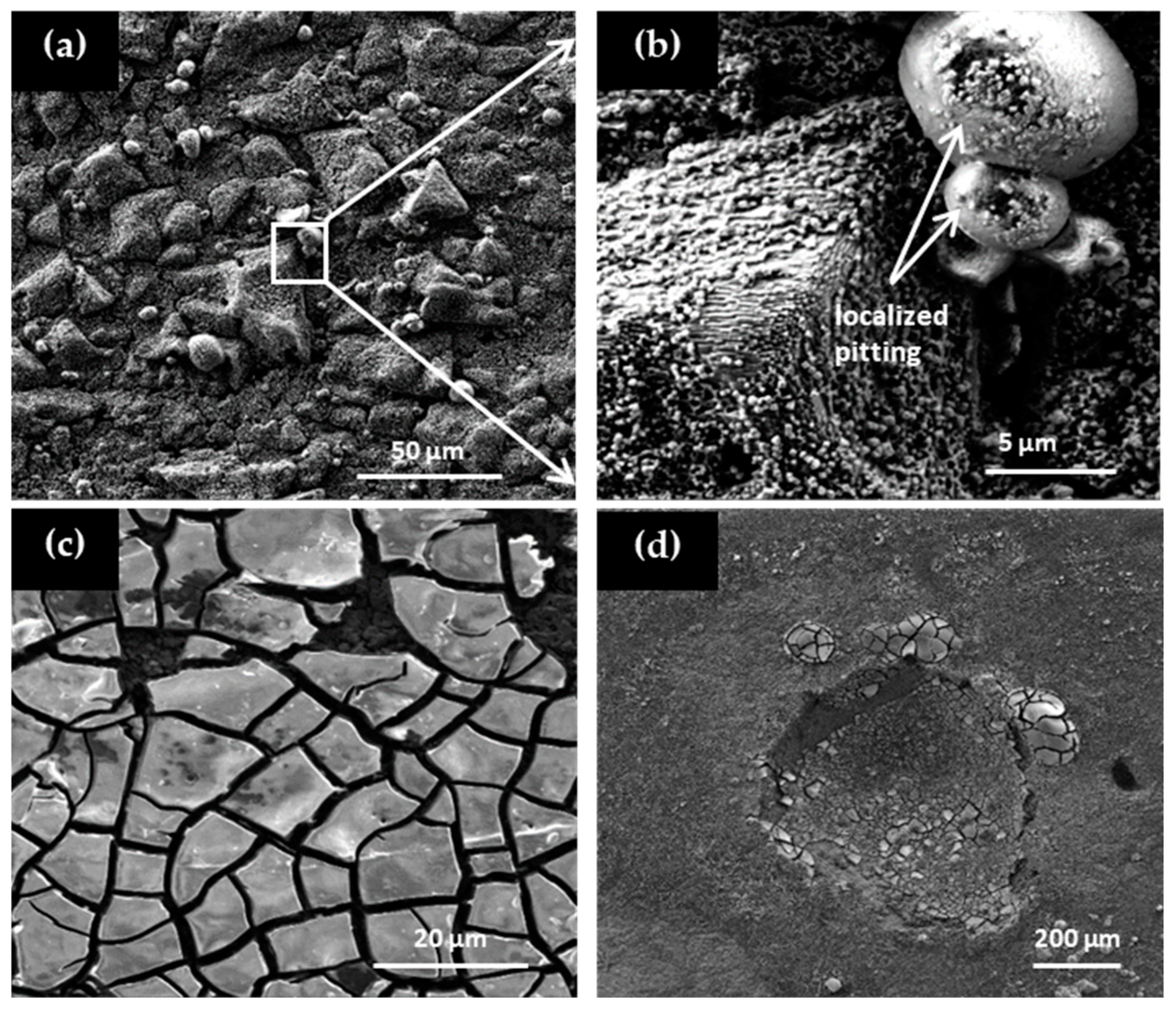 Coatings 15 01103 g007