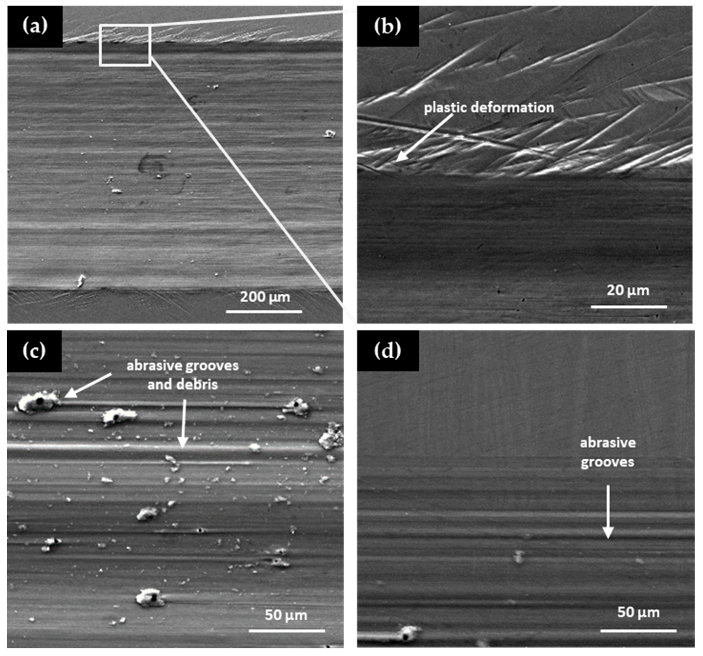 Coatings 15 01103 g010