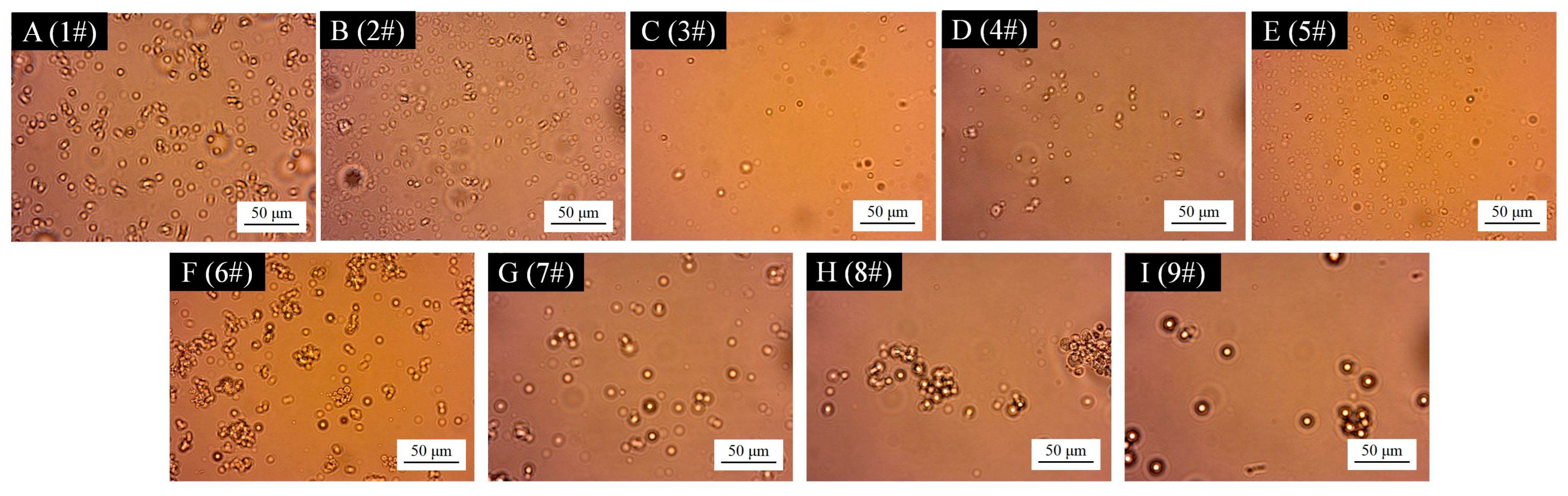 Coatings 15 01105 g001