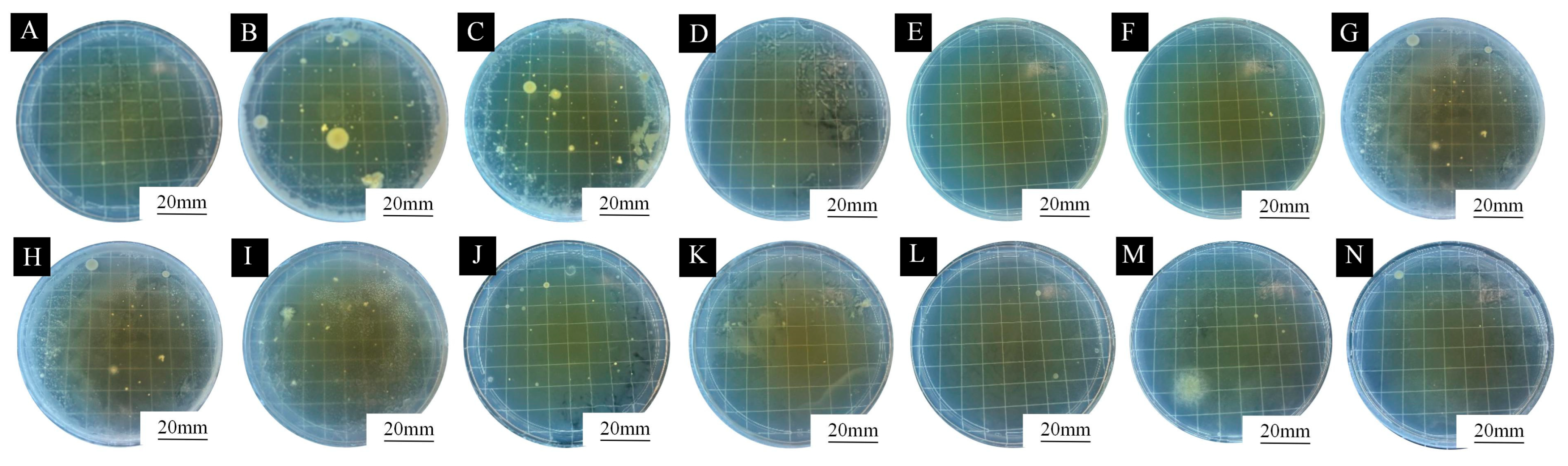 Coatings 15 01105 g008