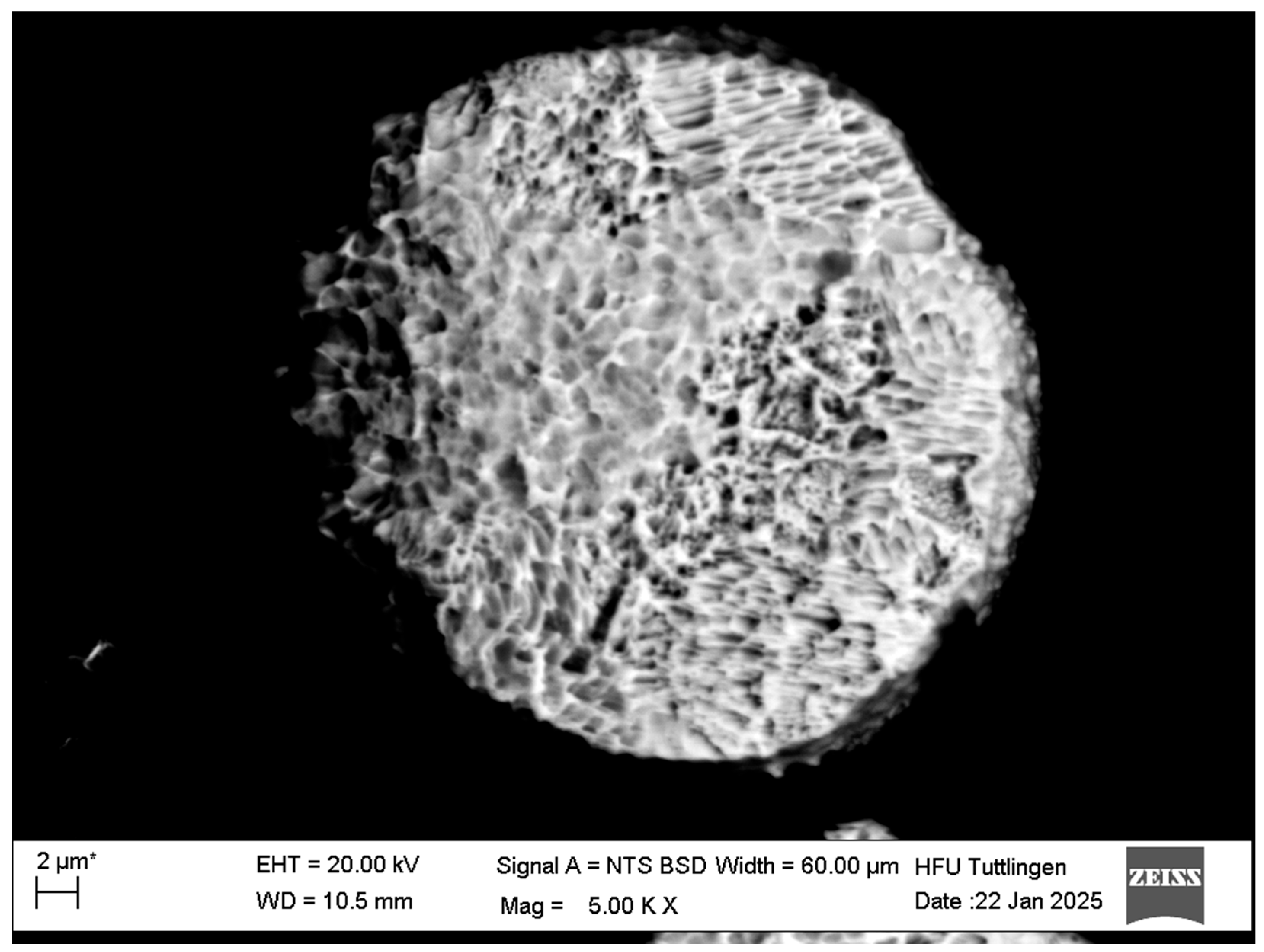 Coatings 15 01106 g004 Coatings 15 01106 g004