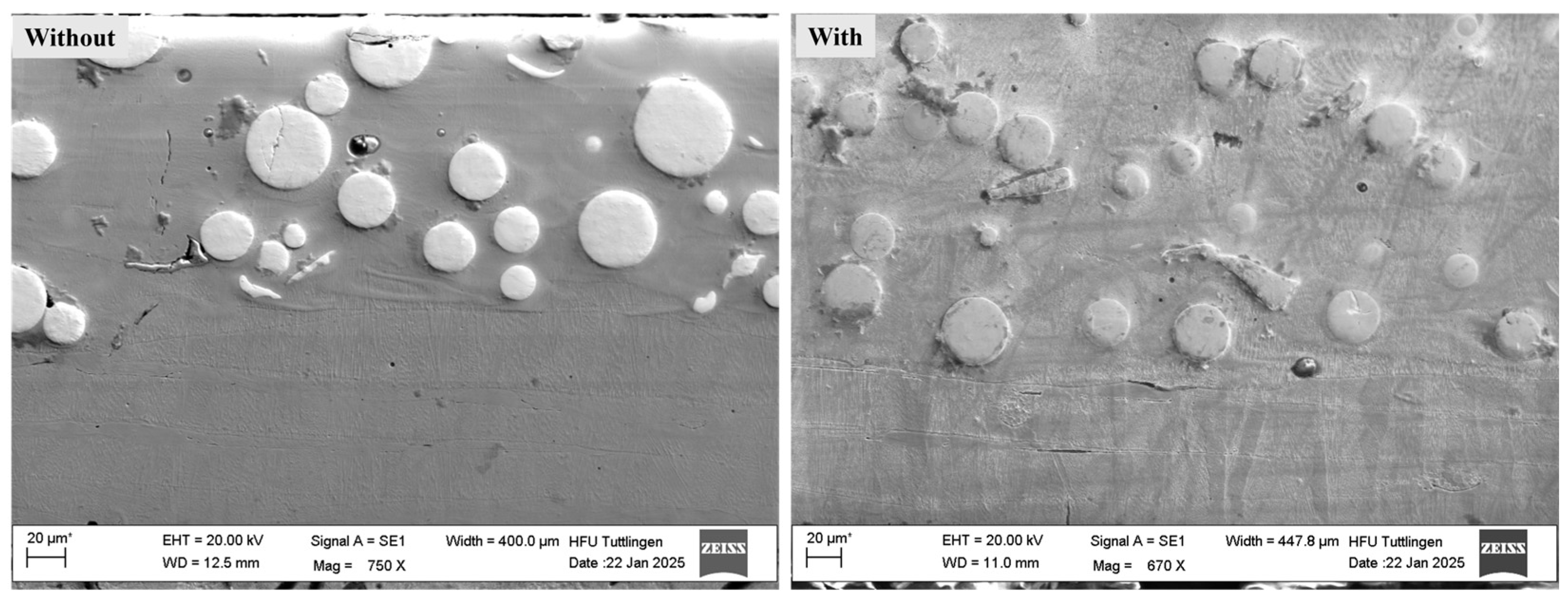 Coatings 15 01106 g005 Coatings 15 01106 g005