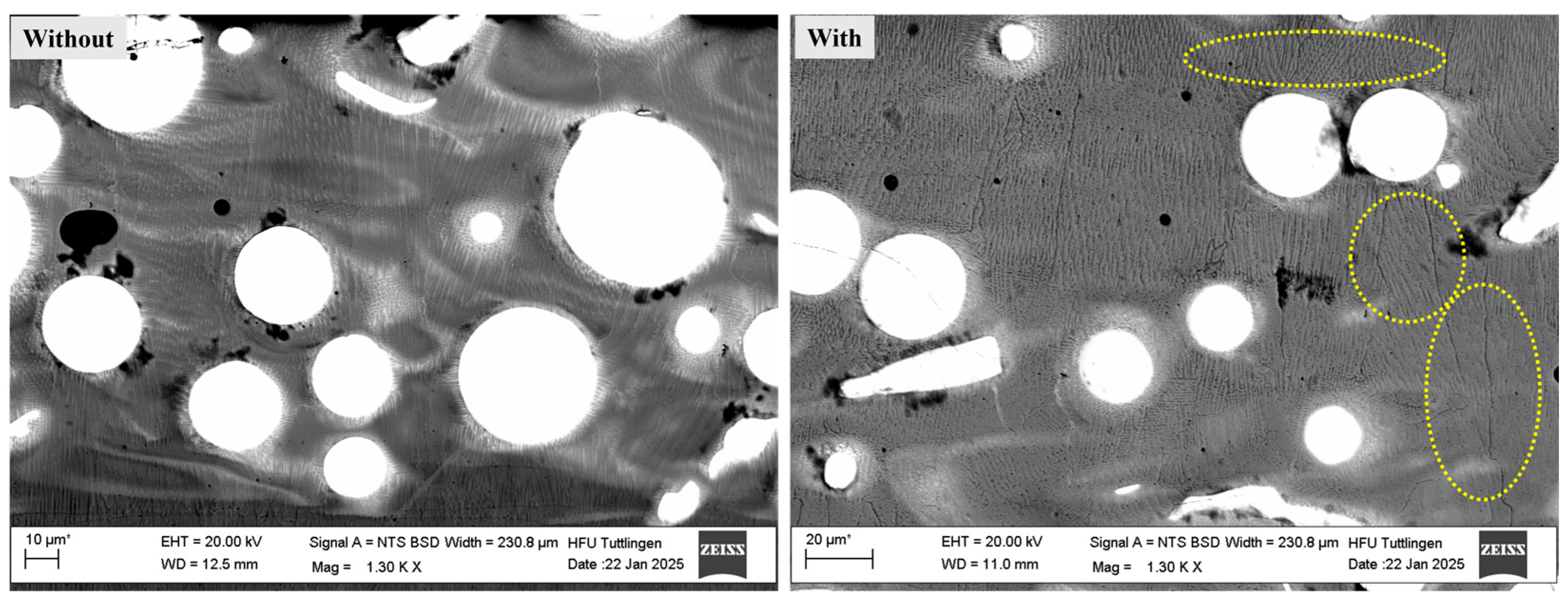 Coatings 15 01106 g006 Coatings 15 01106 g006