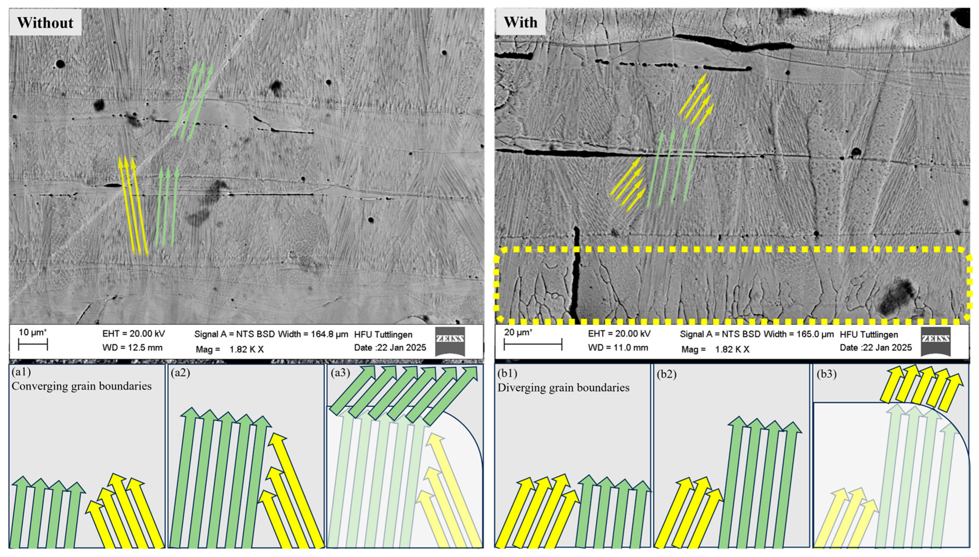 Coatings 15 01106 g012 Coatings 15 01106 g012